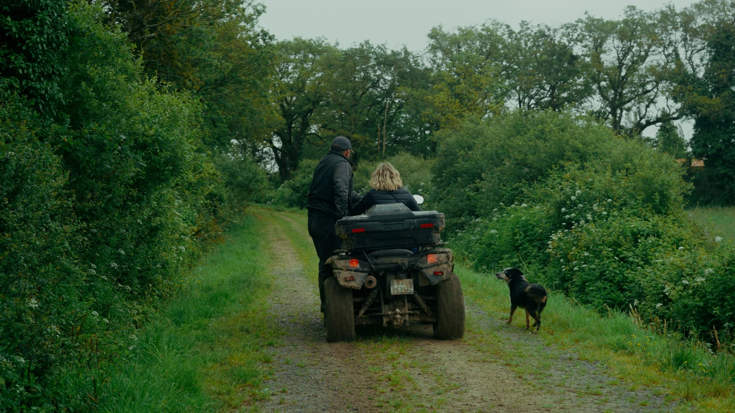Deux personnes à cheval sur une moto tout-terrain traversent un chemin en nature avec un chien qui marche à côté. La scène est verdoyante avec des arbres et des buissons.