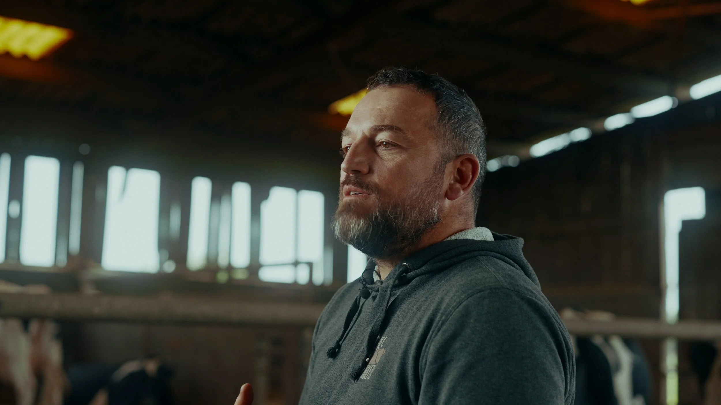 Un homme avec une barbe et les cheveux courts, portant un sweat à capuche gris, se tient dans une ferme avec une construction en bois et des vaches en arrière-plan.