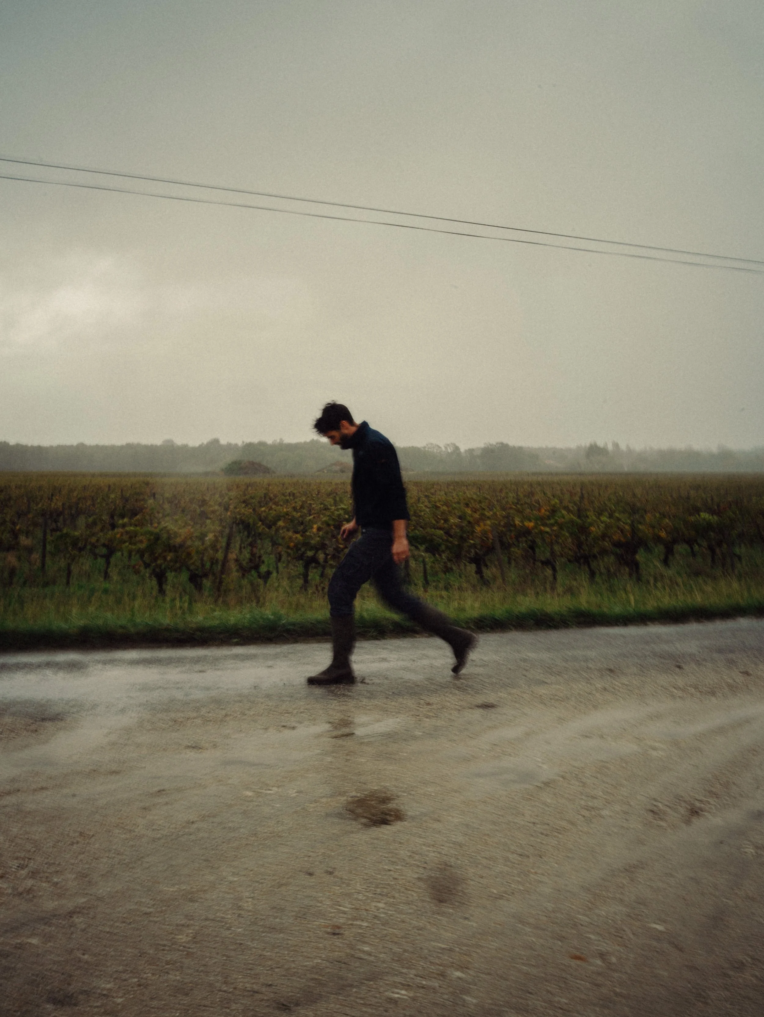 Une personne marchant dans une rue mouillée avec un champ de vignes à l'arrière-plan par un jour pluvieux.