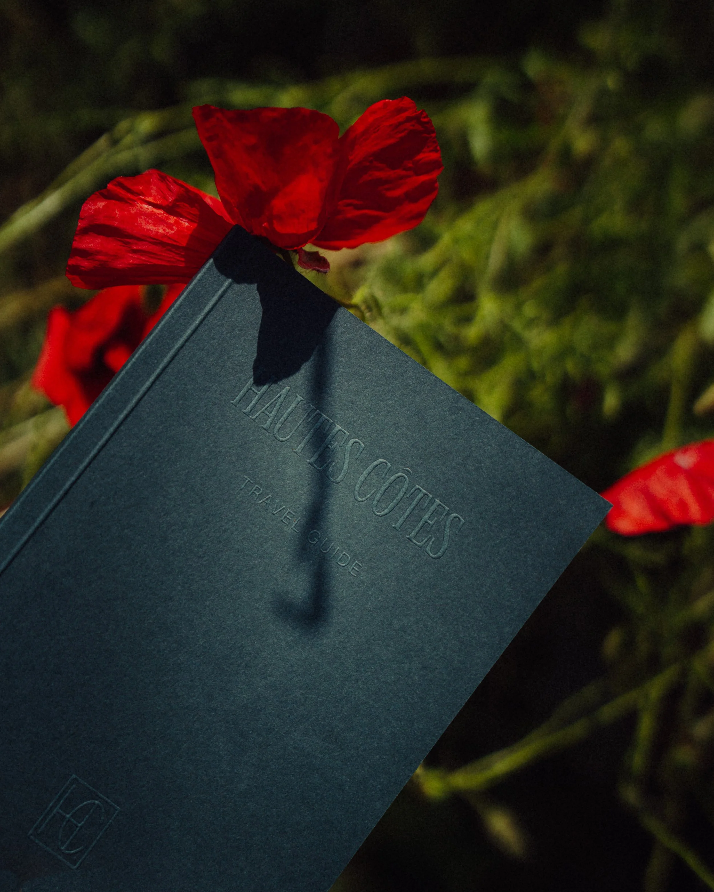 Un guide de voyage intitulé 'Hautes Côtes' posé devant une fleur rouge dans un champs vert.