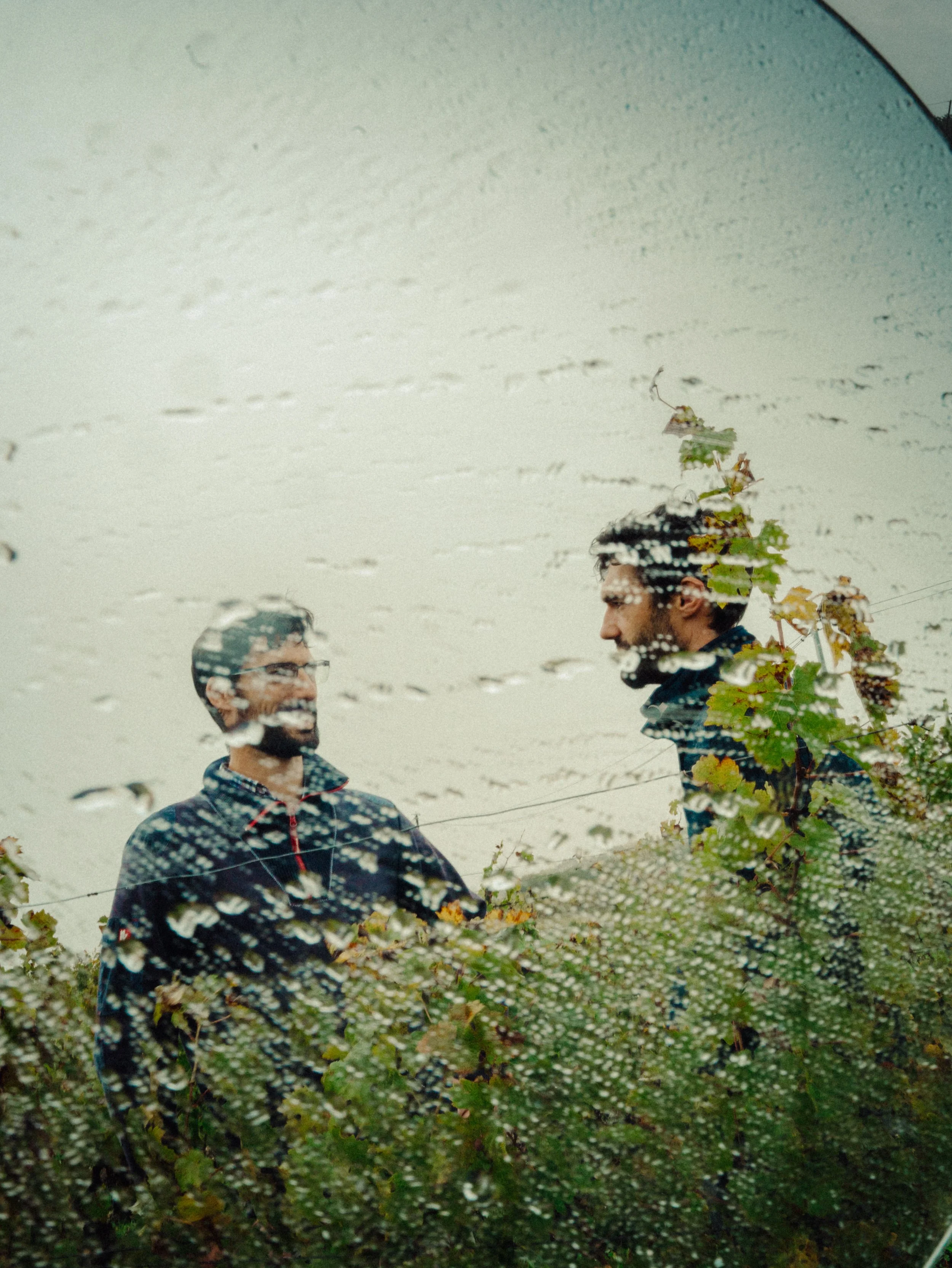 Deux hommes discutant dans un vignoble, vus à travers une vitre couverte de gouttes de pluie.