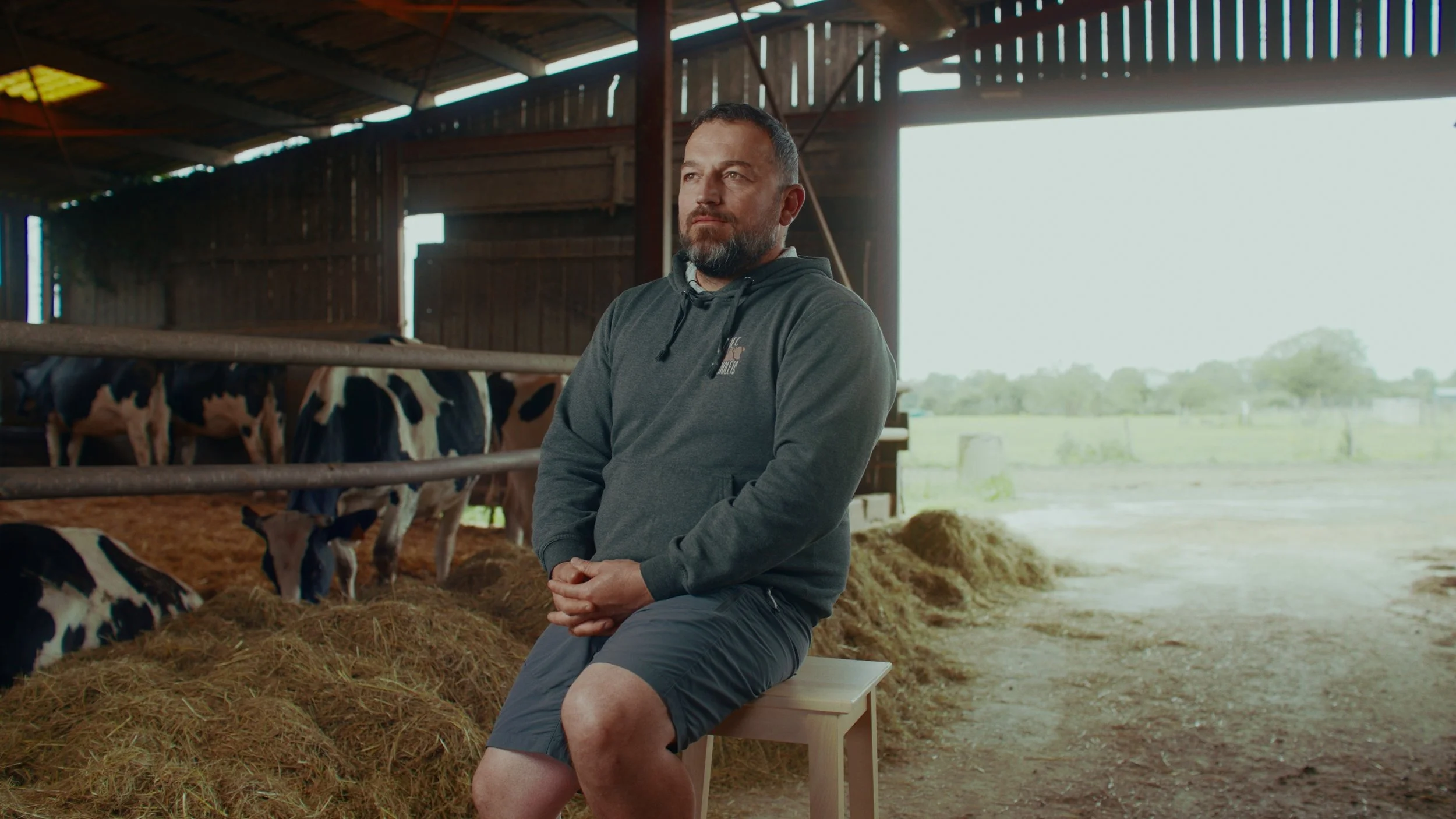 Homme assis sur une chaise dans une ferme avec des vaches laitières en arrière-plan en intérieur, vue vers l'extérieur avec des arbres et un ciel clair.