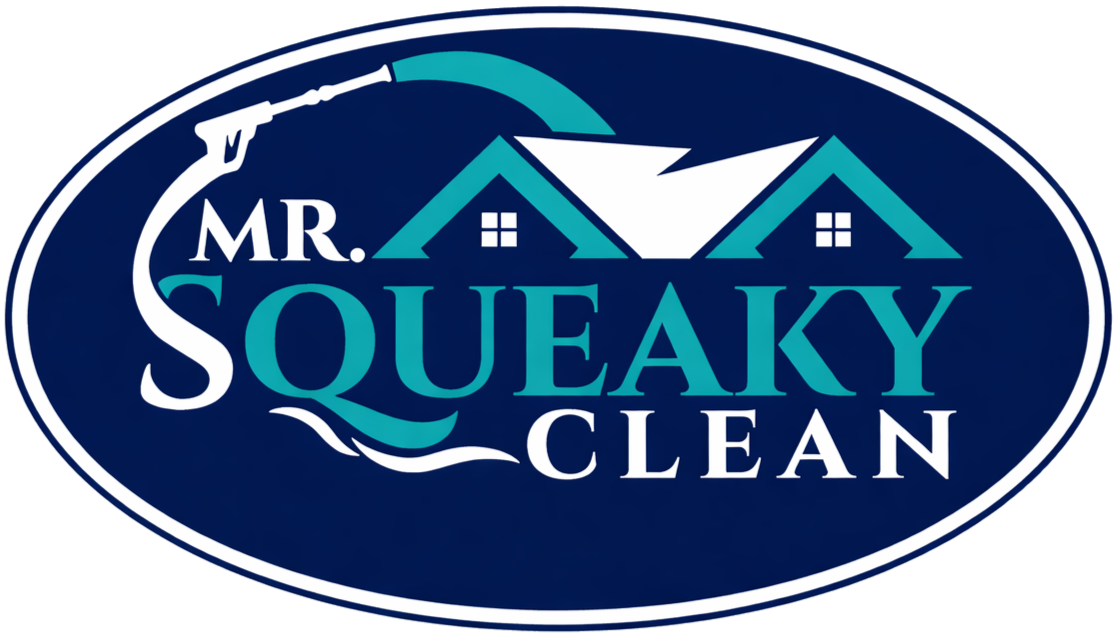 Mr. Squeaky Clean
