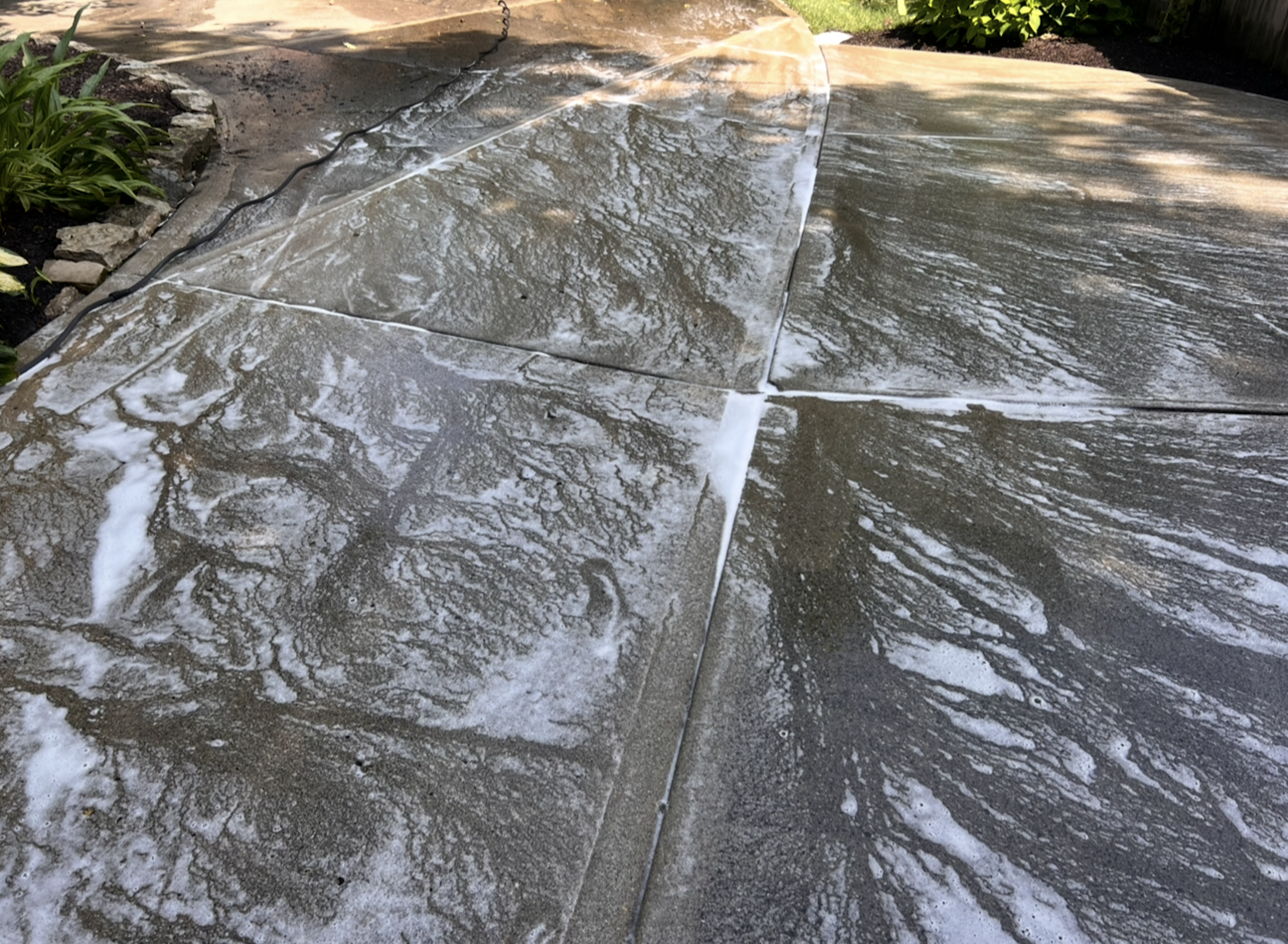 Close-up view of a wet concrete patio with water and soap suds on surface, surrounded by garden plants and a garden hose.