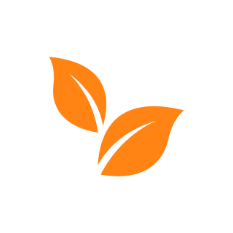 Orange stylized leaves on a white background