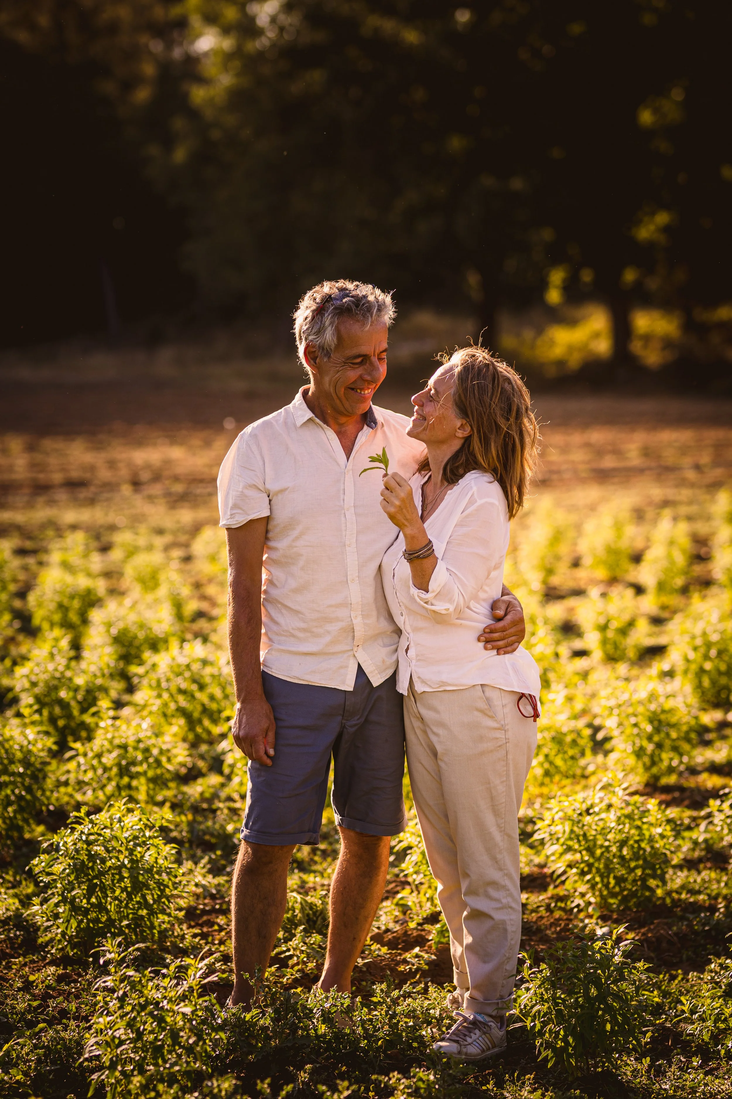 Portrait d’un couple de producteurs dans leur champ en Provence, en lumière naturelle.
