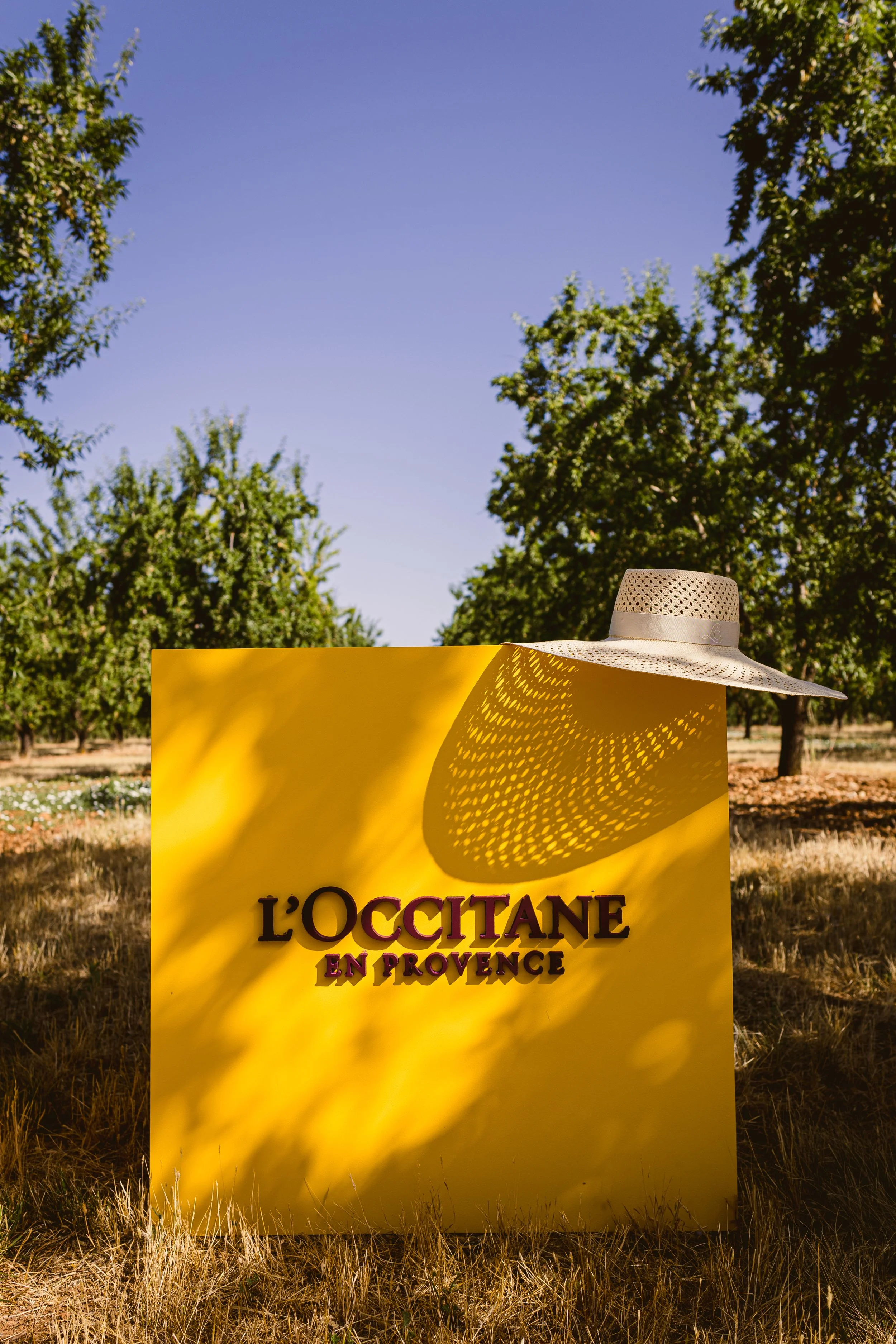 Détail du shooting pour L'Occitane en Provence avec une lumière naturelle et des éléments simples colorés et graphiques