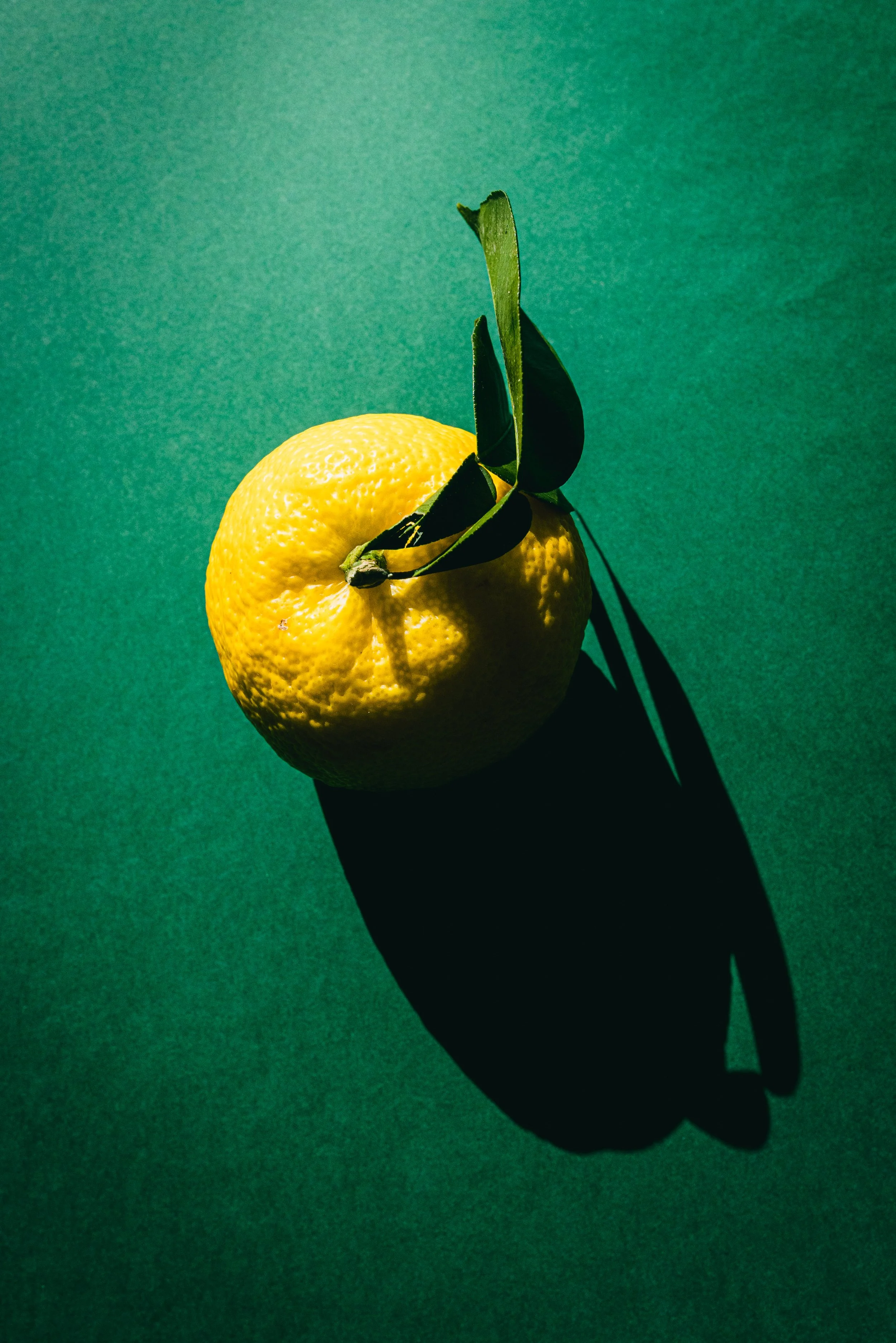 Photographie de produits présentés dans une mise en scène éditoriale, avec une approche graphique et lifestyle