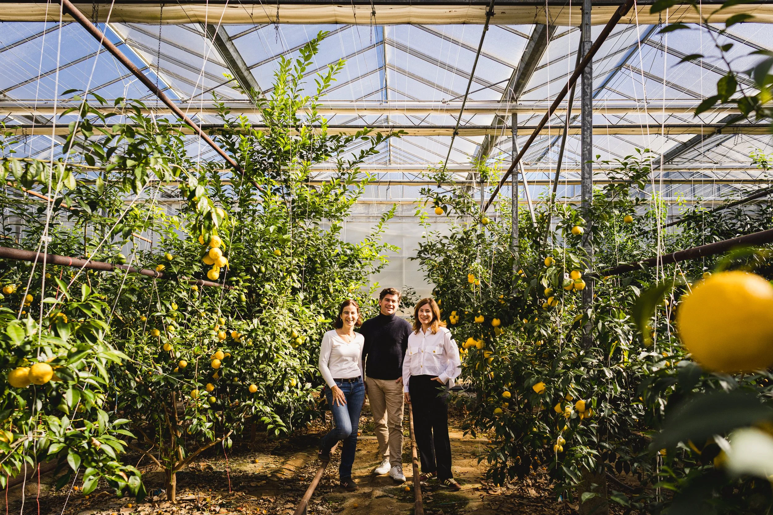 Portrait des trois repreneurs de l’entreprise familiale Délices d’Agrumes dans leur serre colorée en Provence