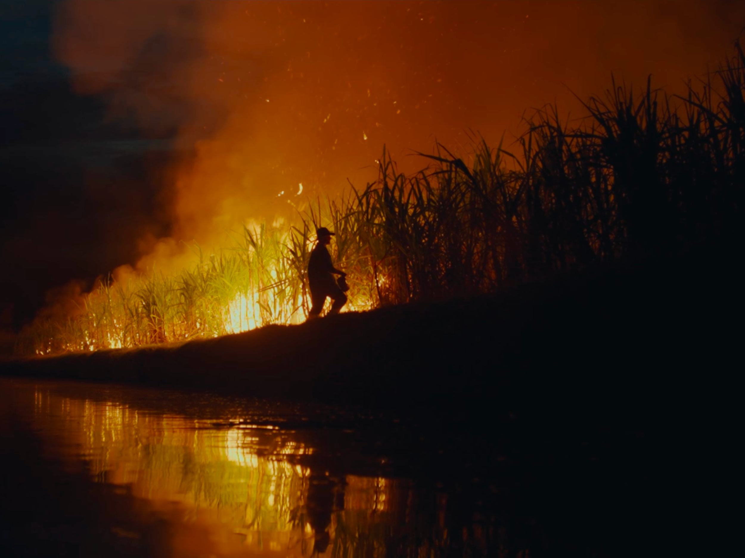 Screenshot 2025-12-17 at 12.53.06 pm.png