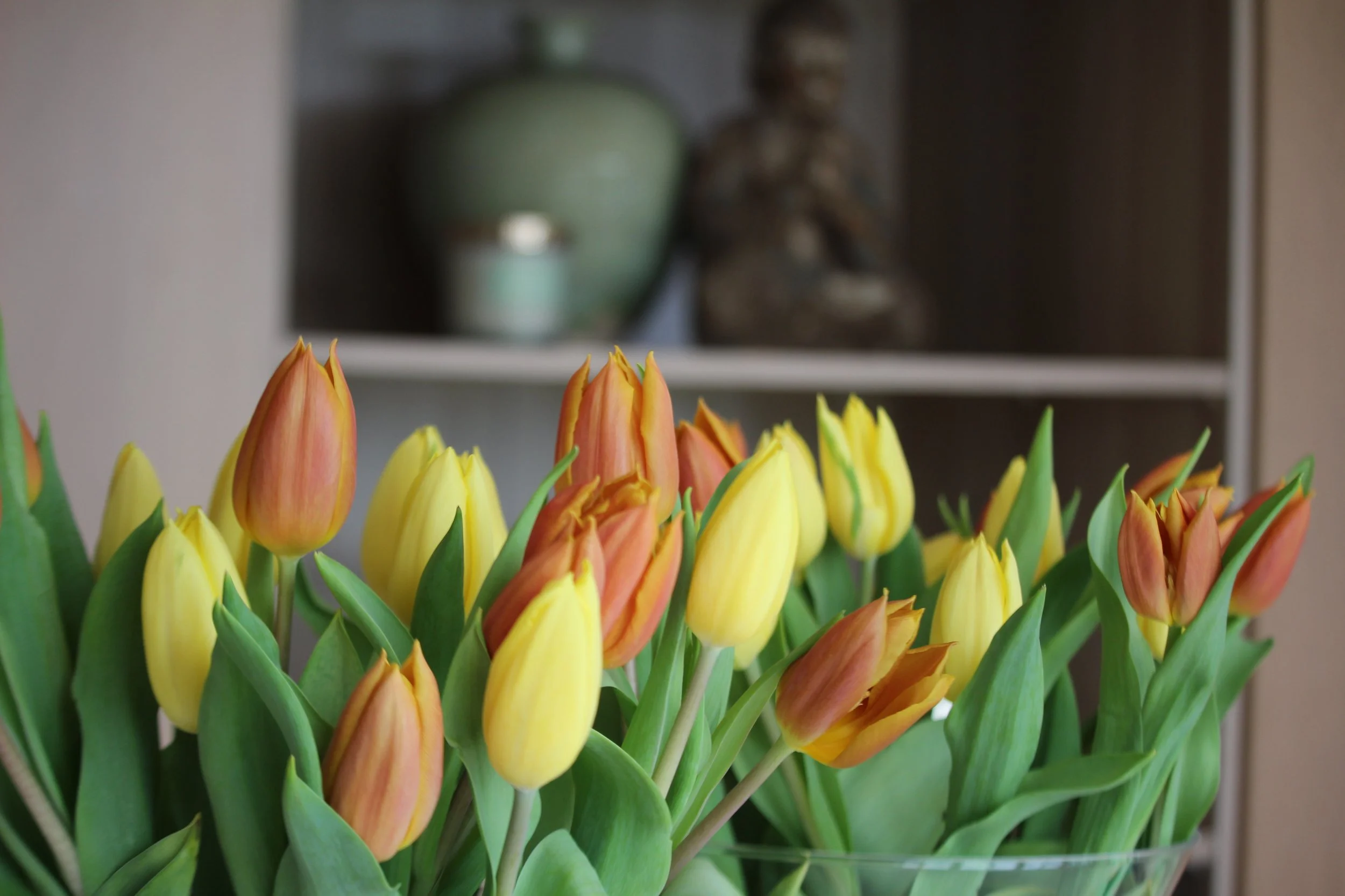 Un bouquet de tulipes jaunes et orange dans un vase en verre, avec une étagère en arrière-plan contenant des décorations en céramique
