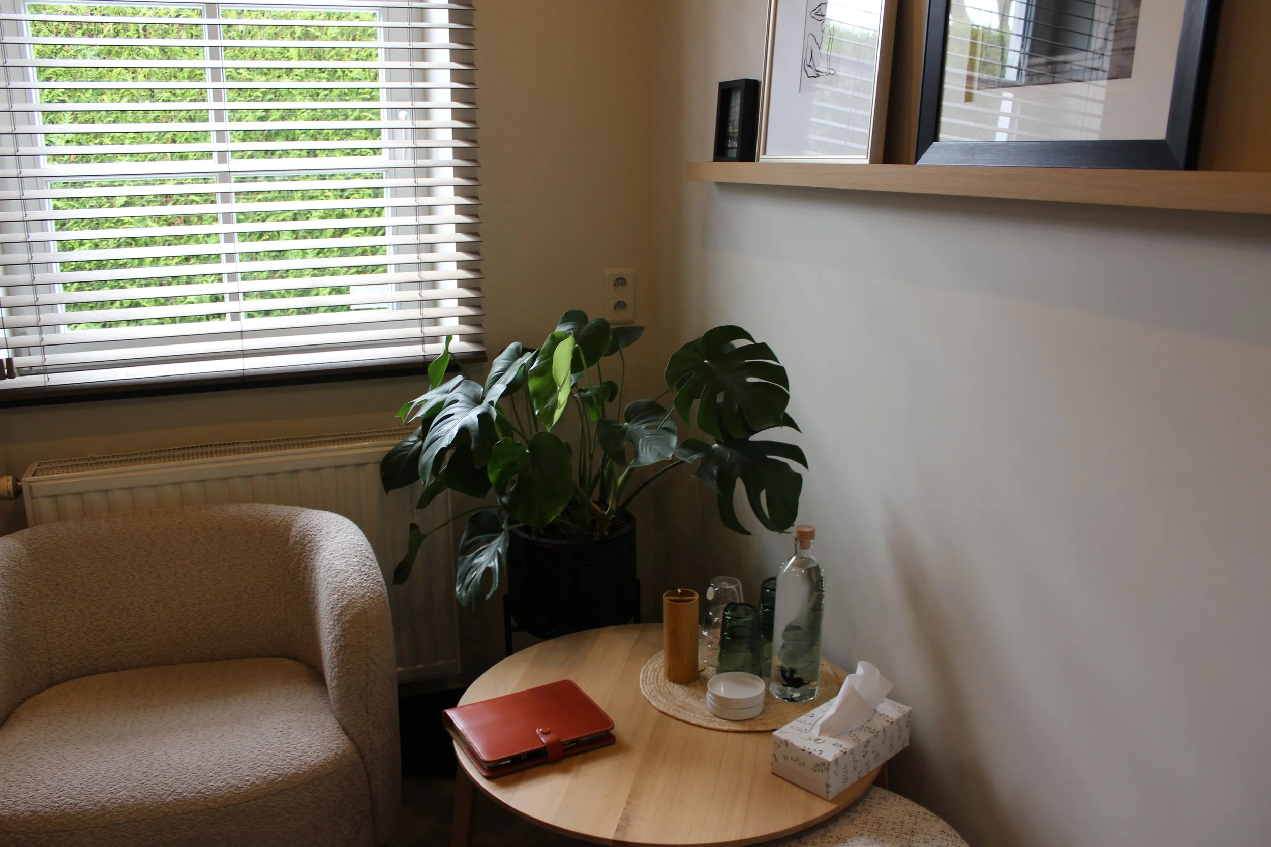 Intérieur d'un avec une fenêtre à volets, un sofa beige, une table basse en bois avec un carnet rouge, une boîte de mouchoirs, des bouteilles en verre, un plant d'intérieur vert, un cadre avec image au mur, et une radiateur en dessous de la fenêtre.