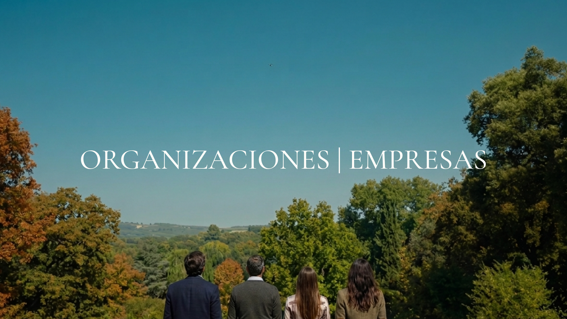 Taller de grupo empresarial en nuestro finca en Madrid, enfocado en la colaboración, cohesión grupal y autoconocimiento