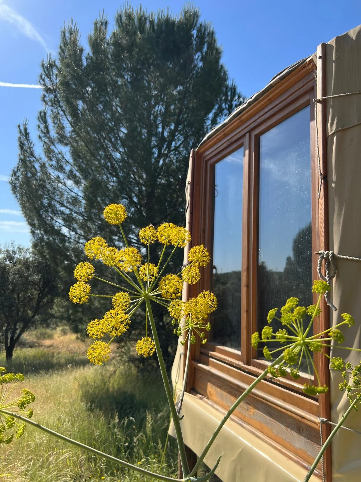 Hombre conectando con un caballo, es más, reconectando consigo mismo, con su esencia, recordando, desbloqueando