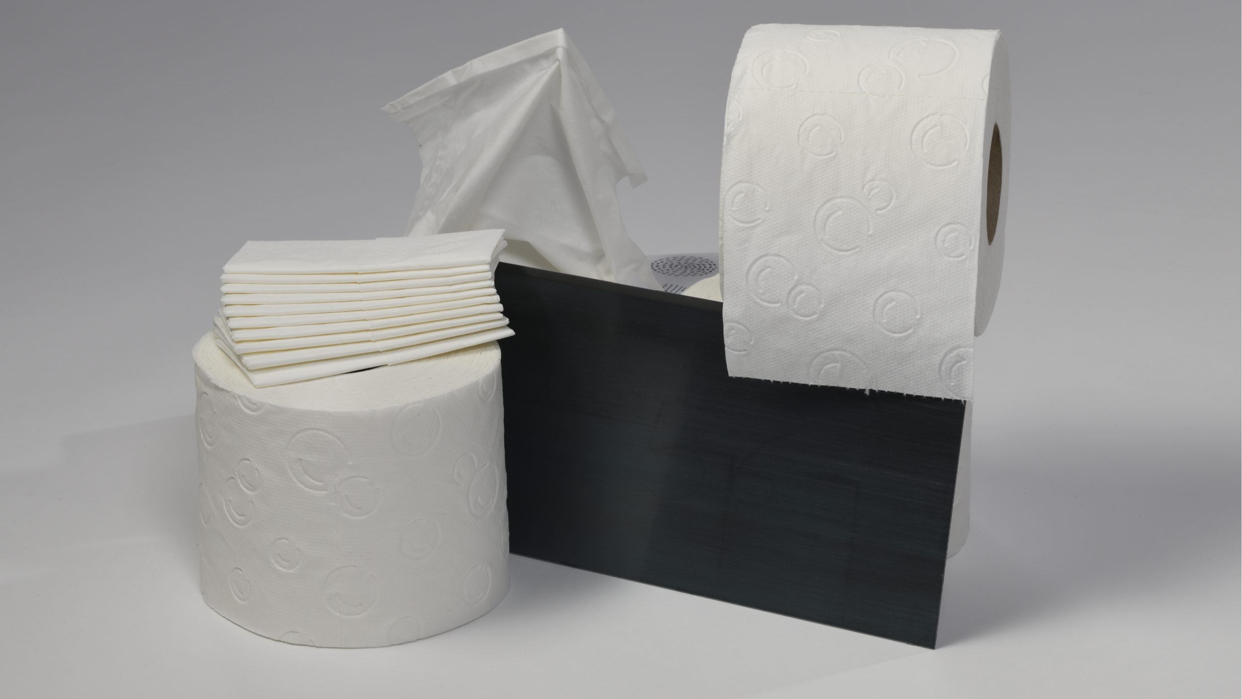 Verschiedene Arten von Toilettenpapierrollen und -taschentüchern, einige sind auf einer schwarzen Halterung, andere sind lose aufgereiht und auf einem weißen Untergrund.