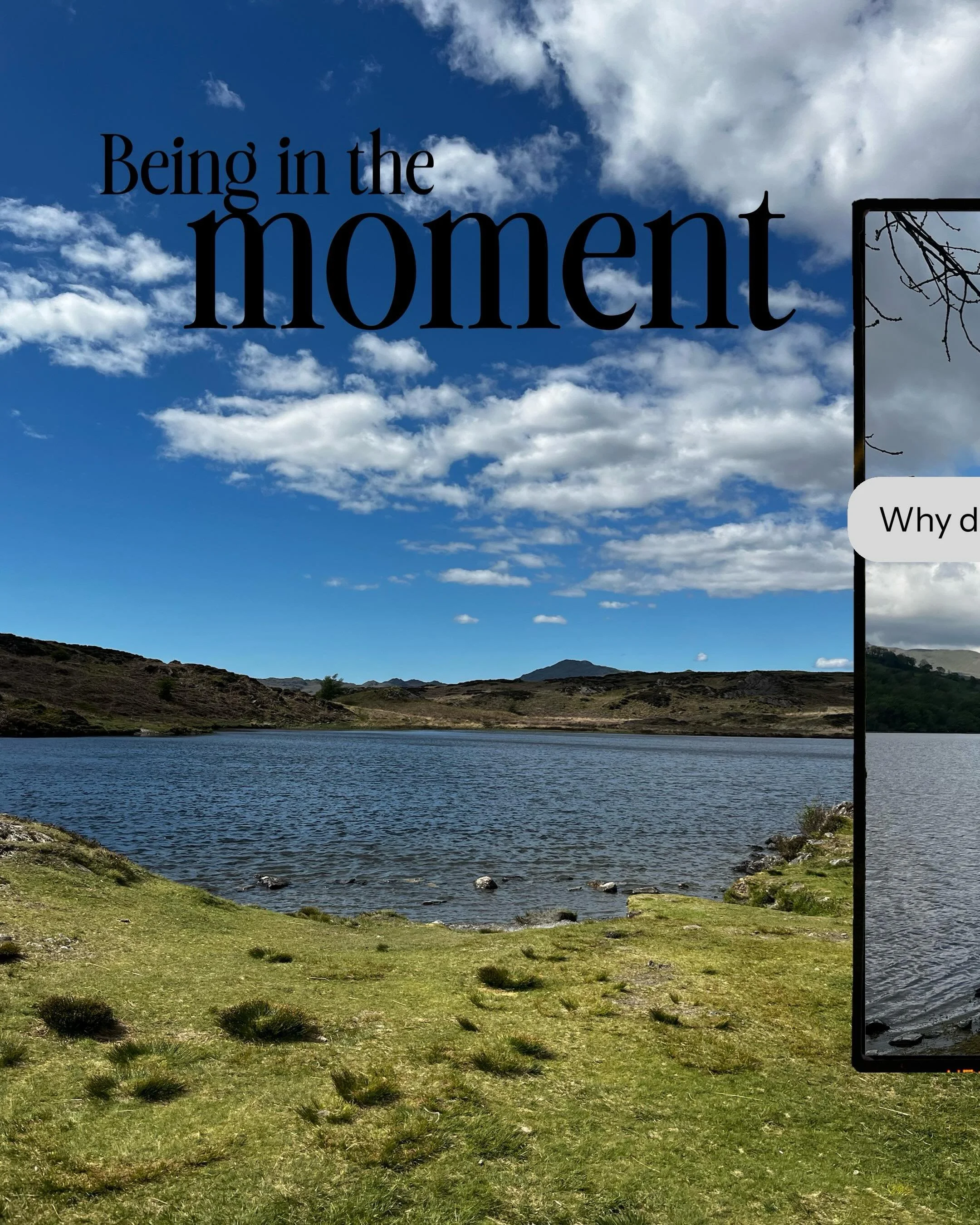 &ldquo;Sometimes the most radical thing we can do is move more slowly.&rdquo;

Meet you by the lake,
Nat 🌊🌳☀️