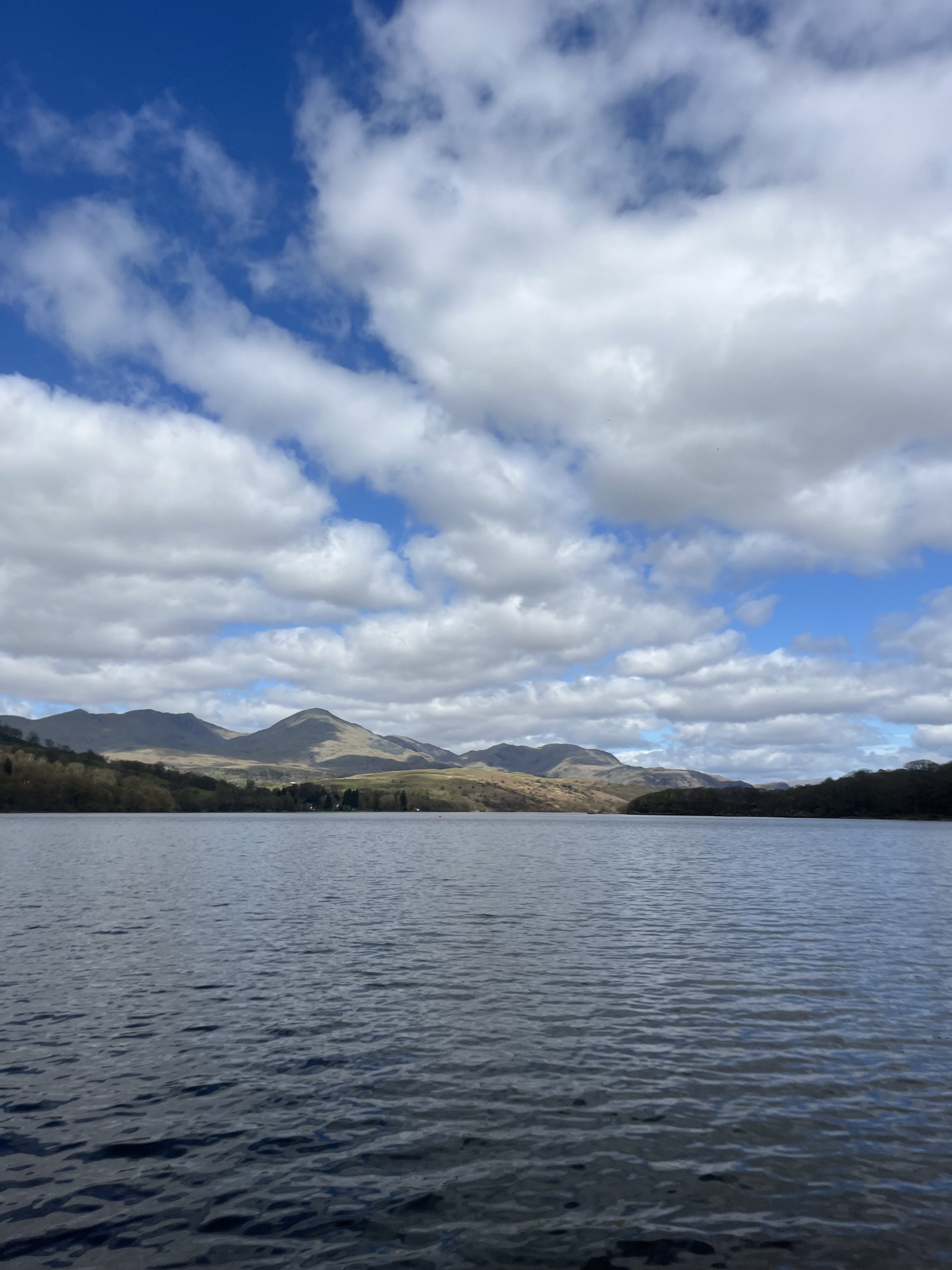 IMG_8968.jpeg