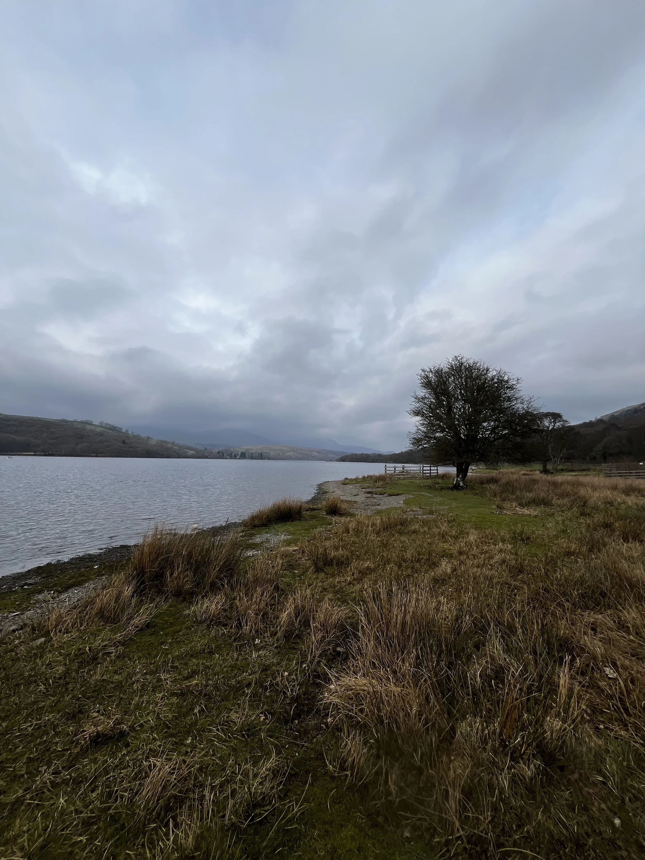 Wellbeing Wednesdays