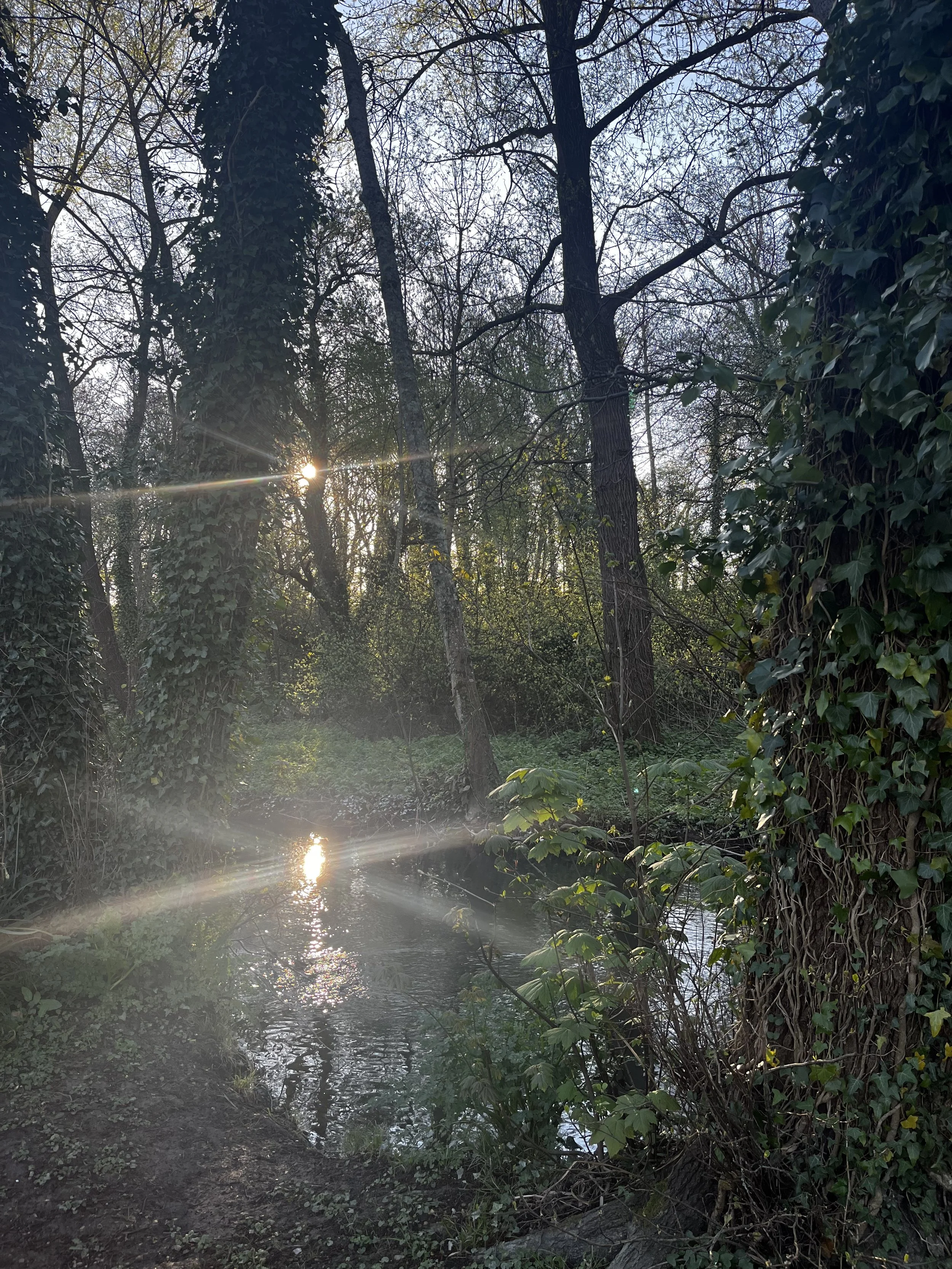 The Confluence Sessions