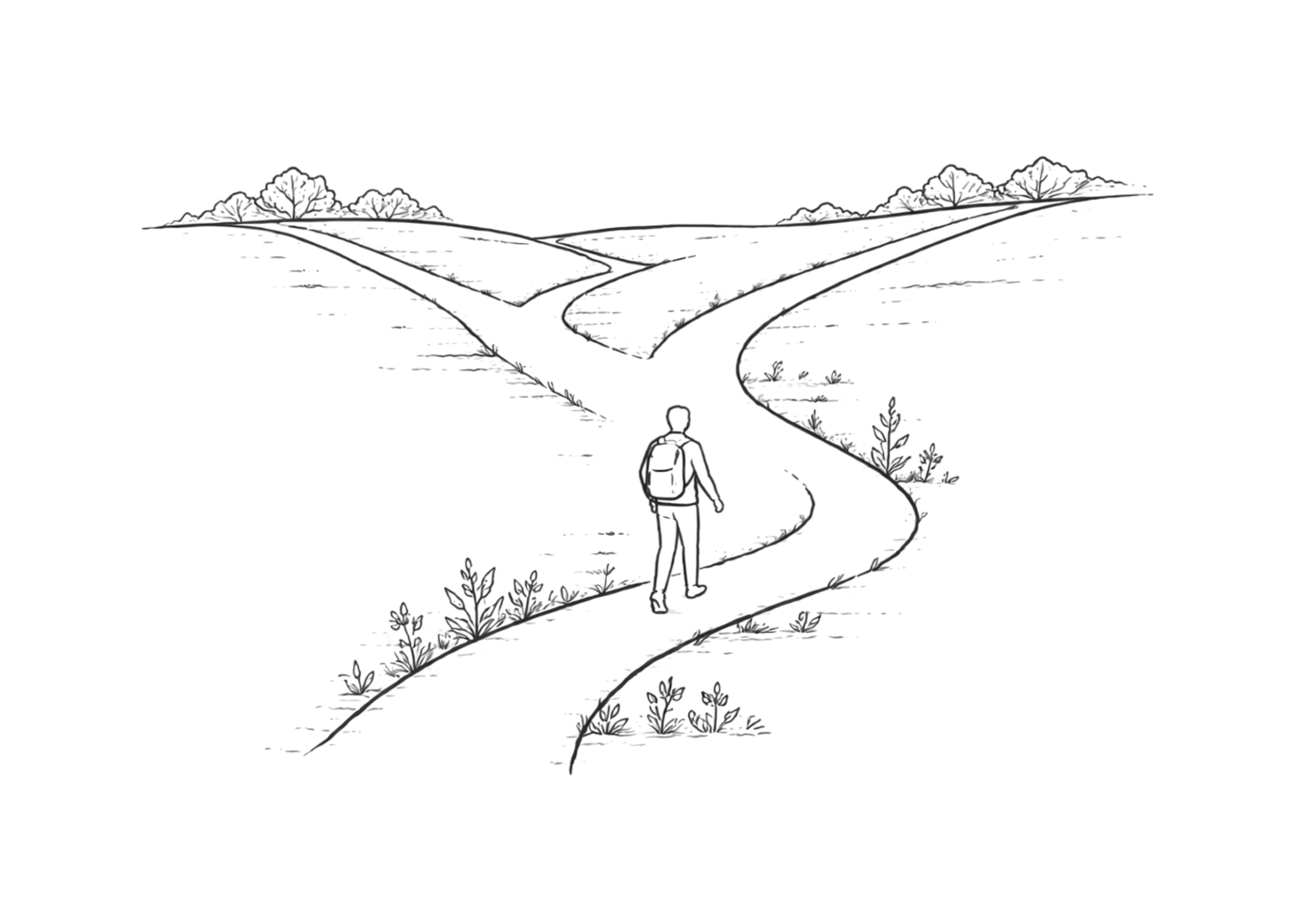 Design Your Own Path