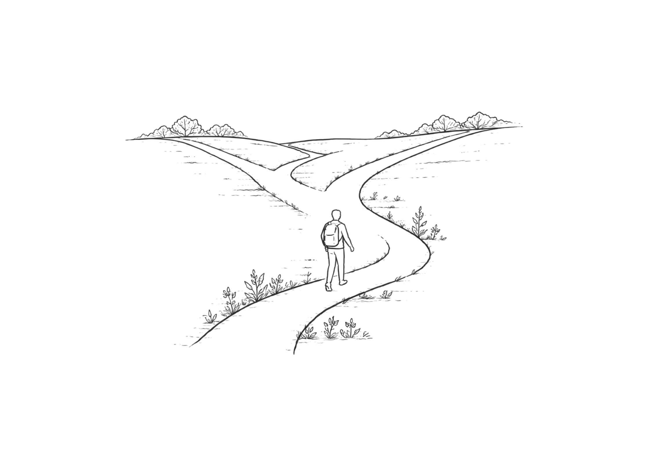 Design Your Own Path