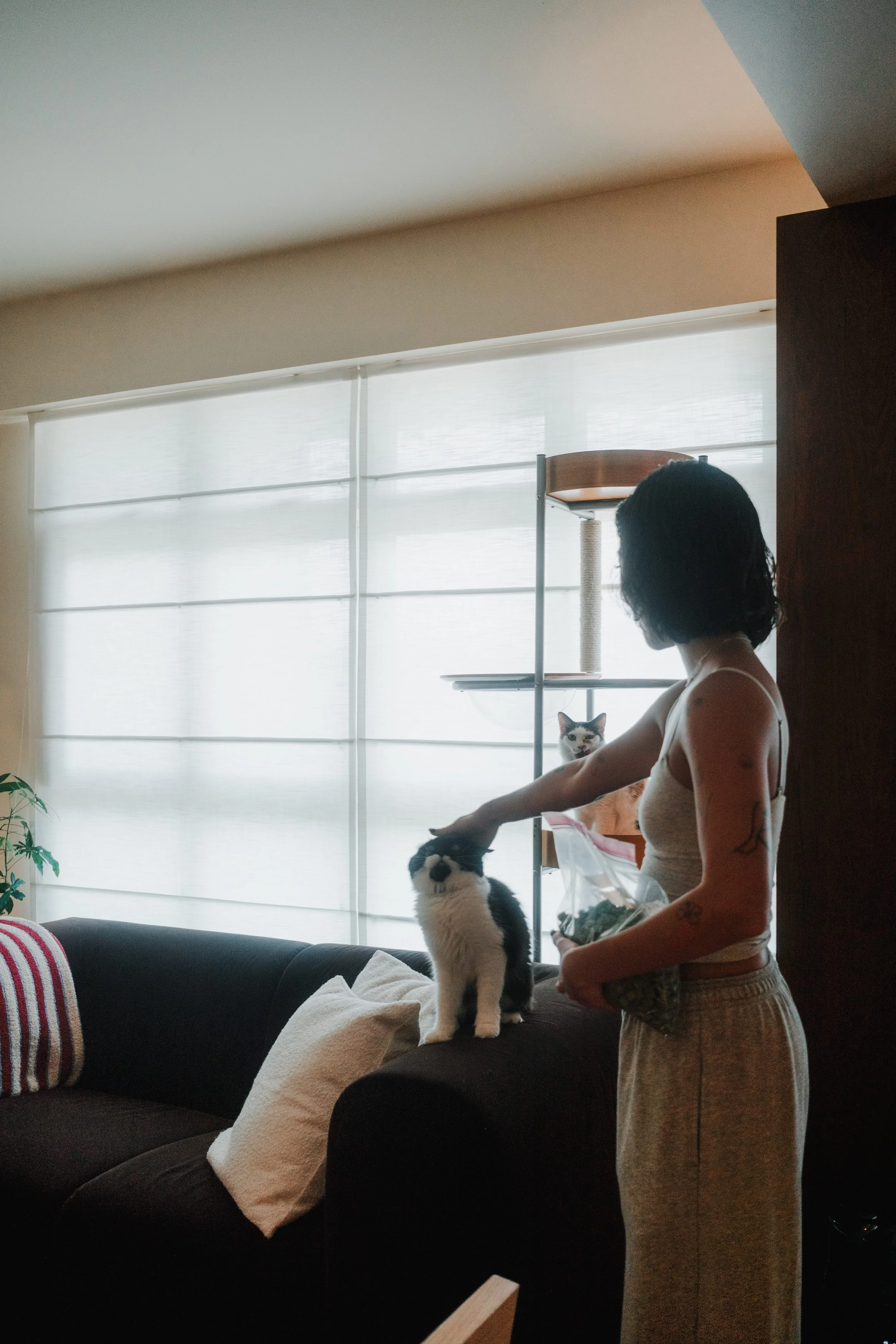 Woman standing beside a cat in a cosy Singapore living room, with Roman Blinds in Lucent™ softly filtering natural light.