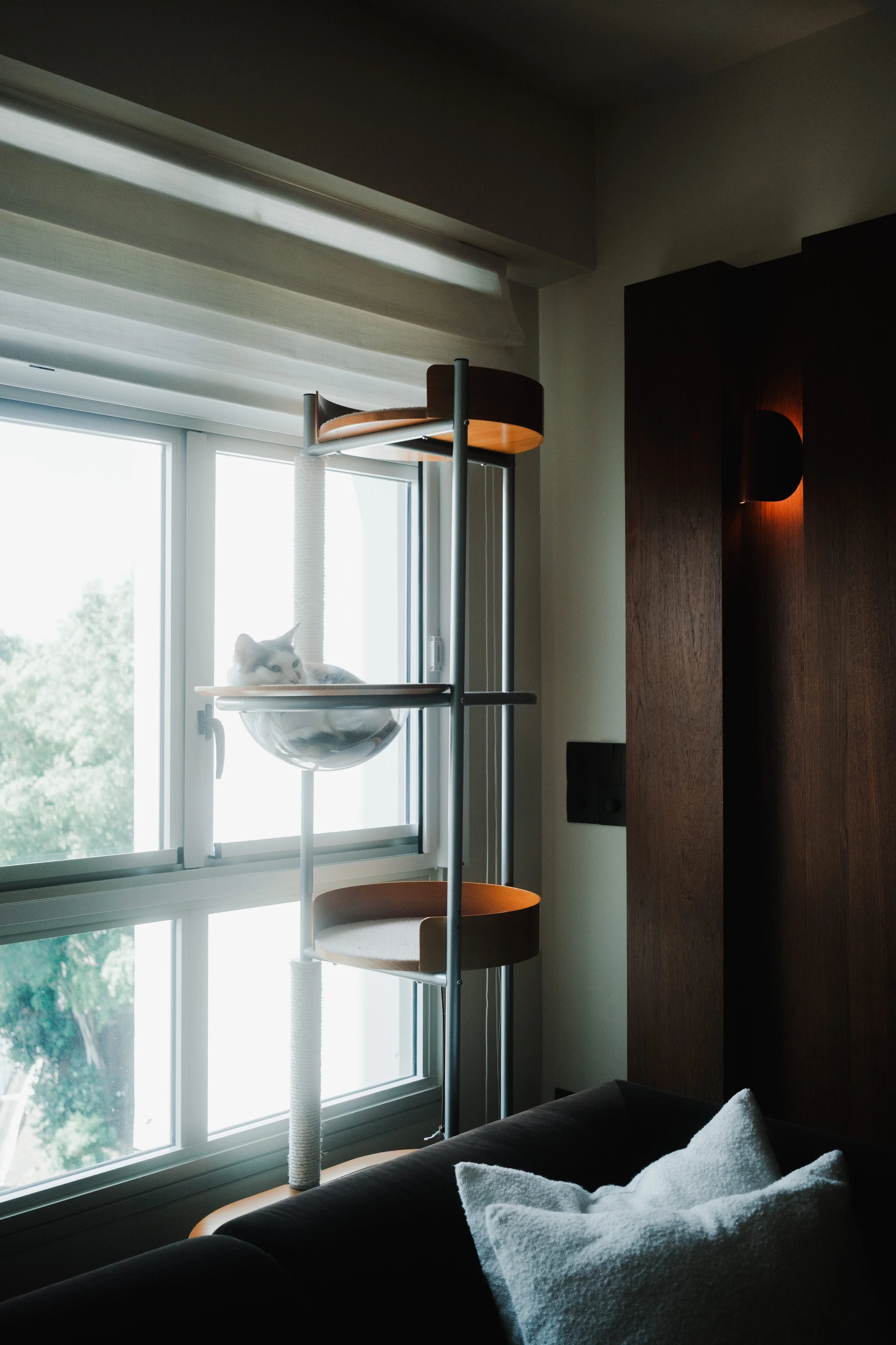 Roman blinds filtering soft daylight in a cosy Singapore living corner, with a cat on a cat tree by the window and warm wood details.