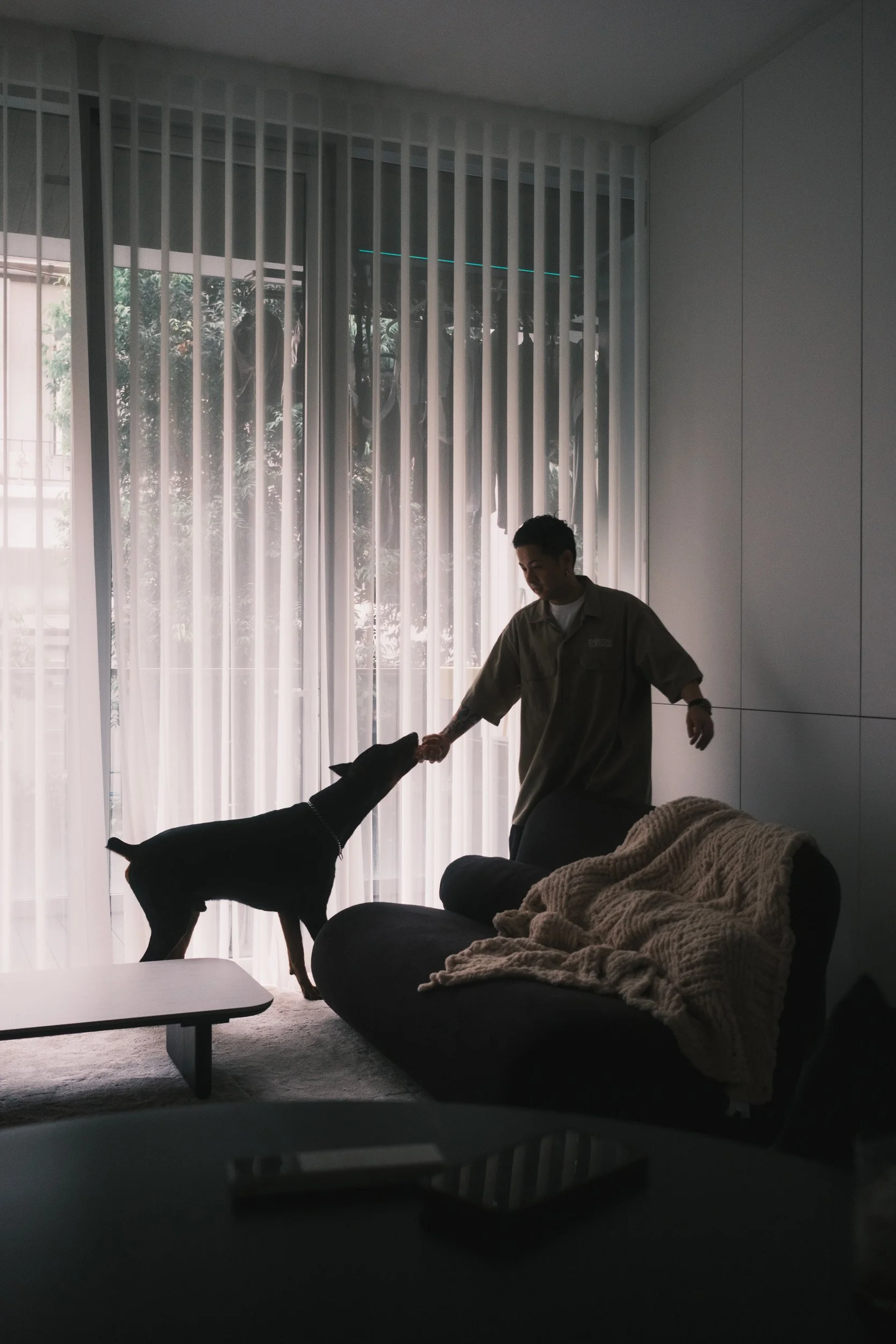 Man interacting with a black dog in a cosy living room, with full height ripple blinds softly filtering natural light in the background.