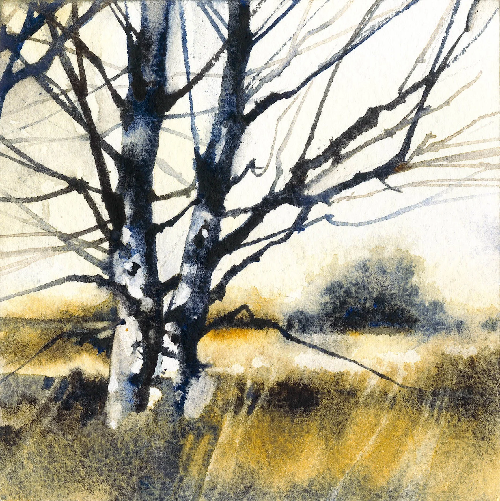 Evening on the Levels.jpg