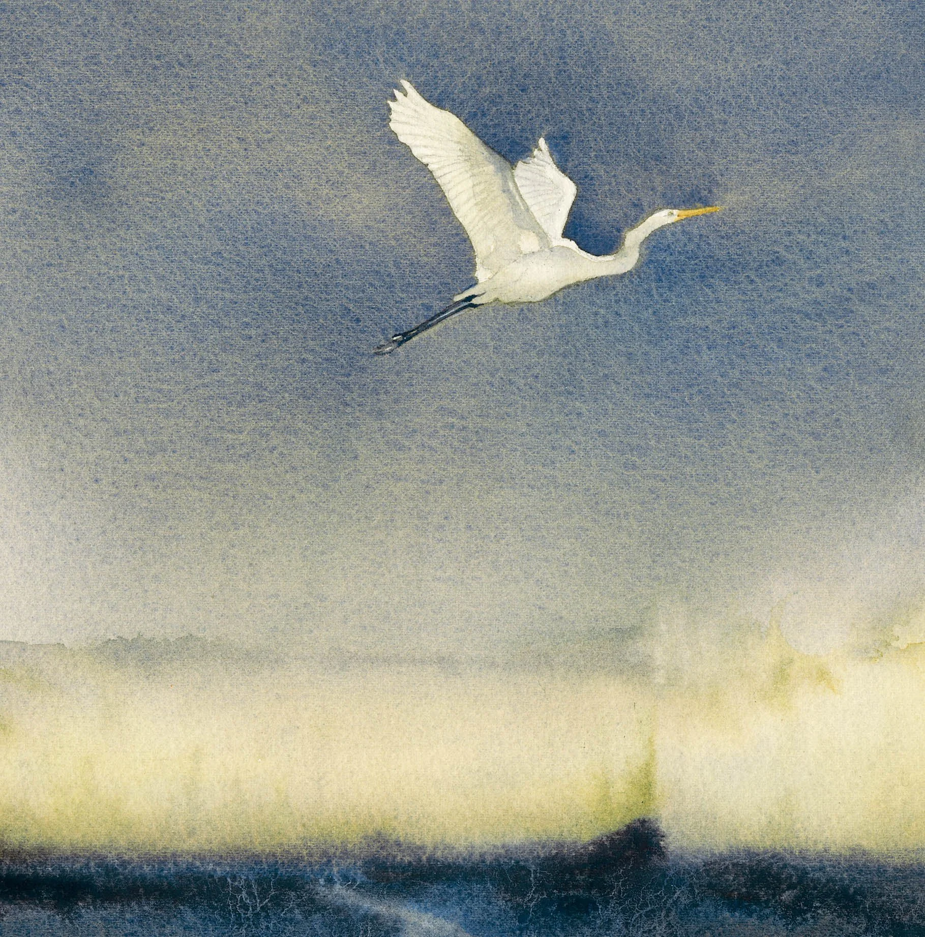 Egret