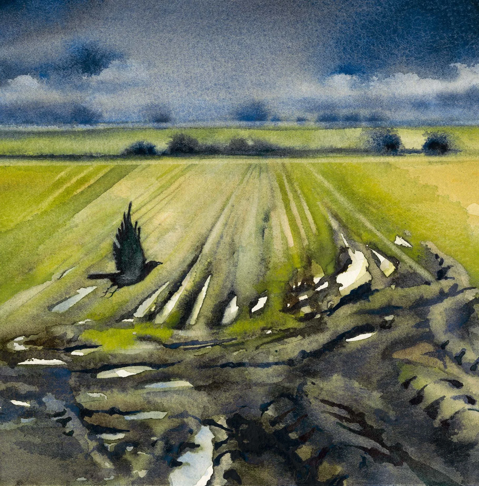 Countryside - Crow Flying Low.jpg
