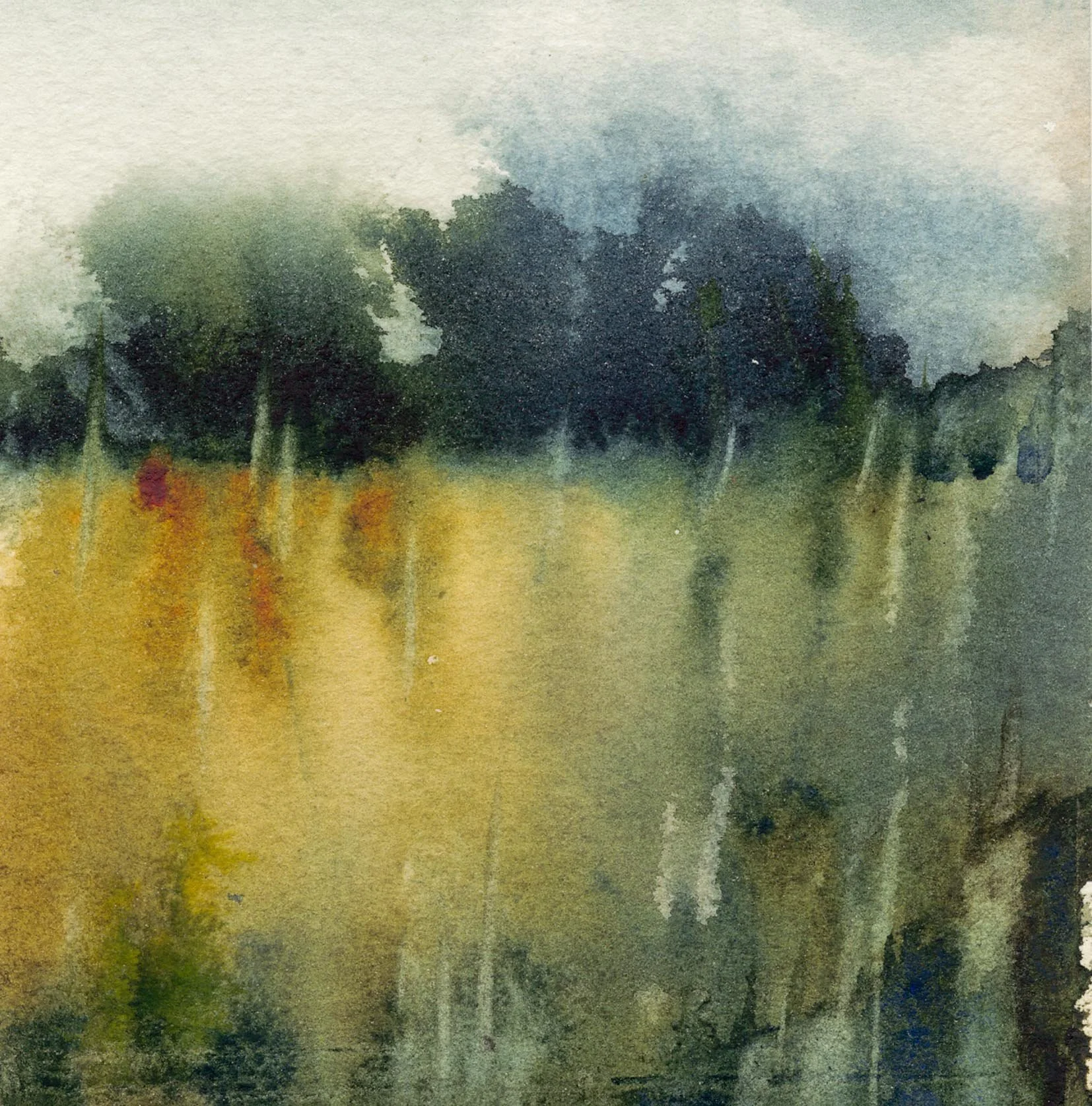 Reeds