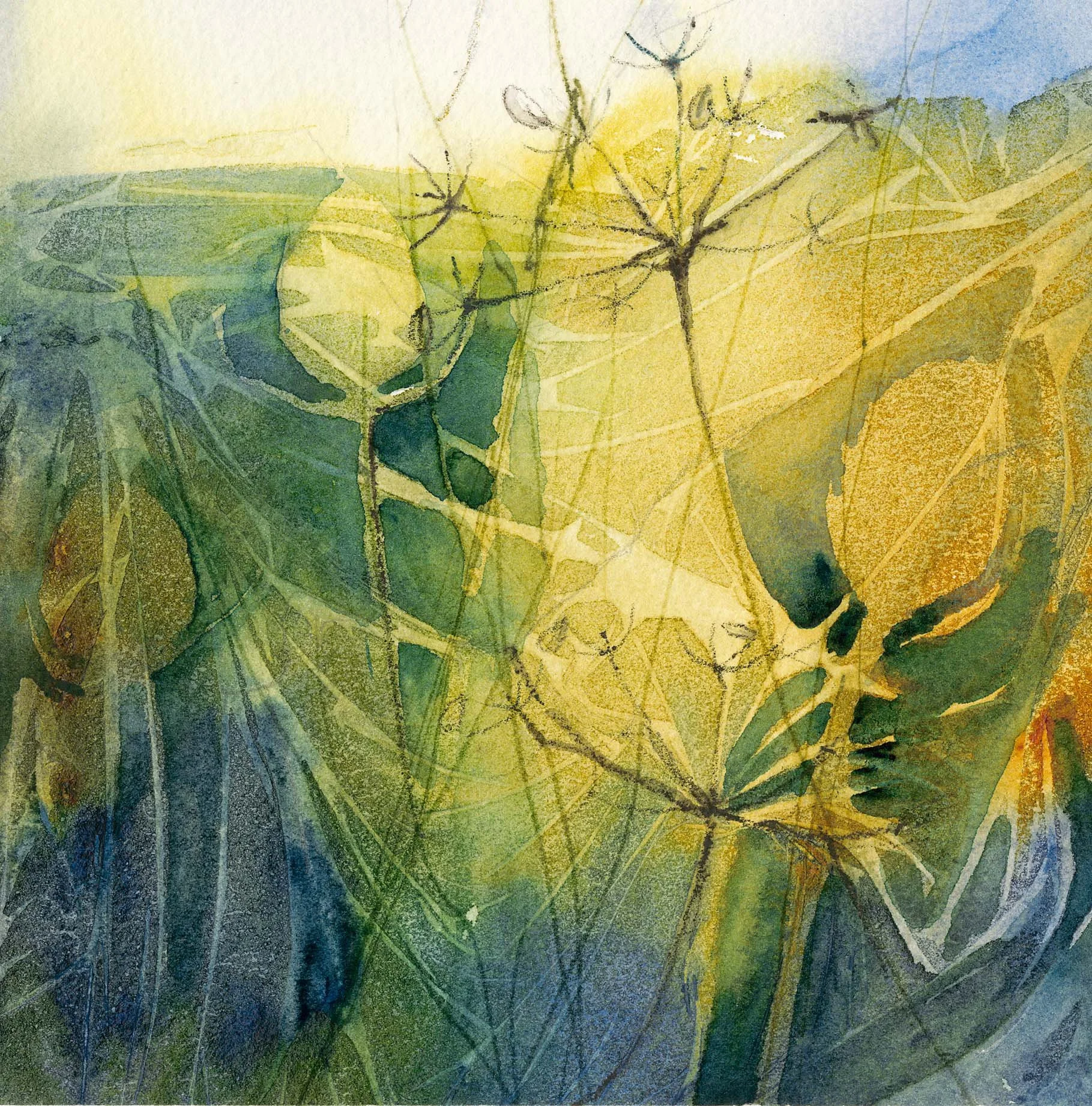Tangle Of Teasels