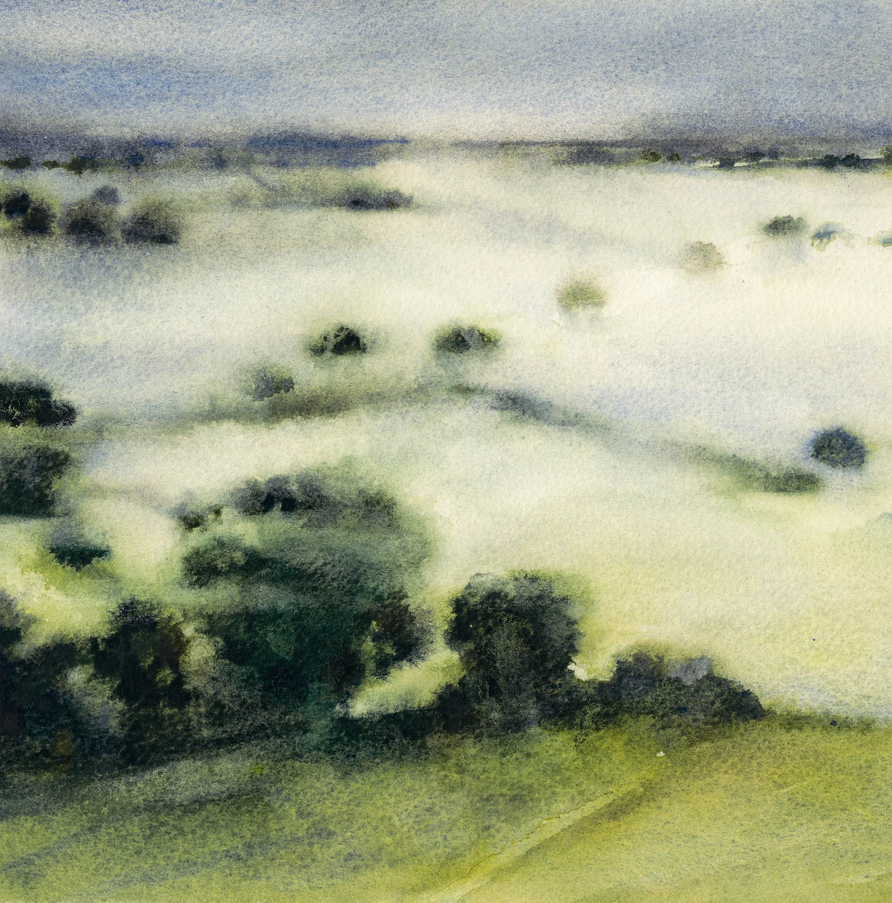 Avalonian Mist