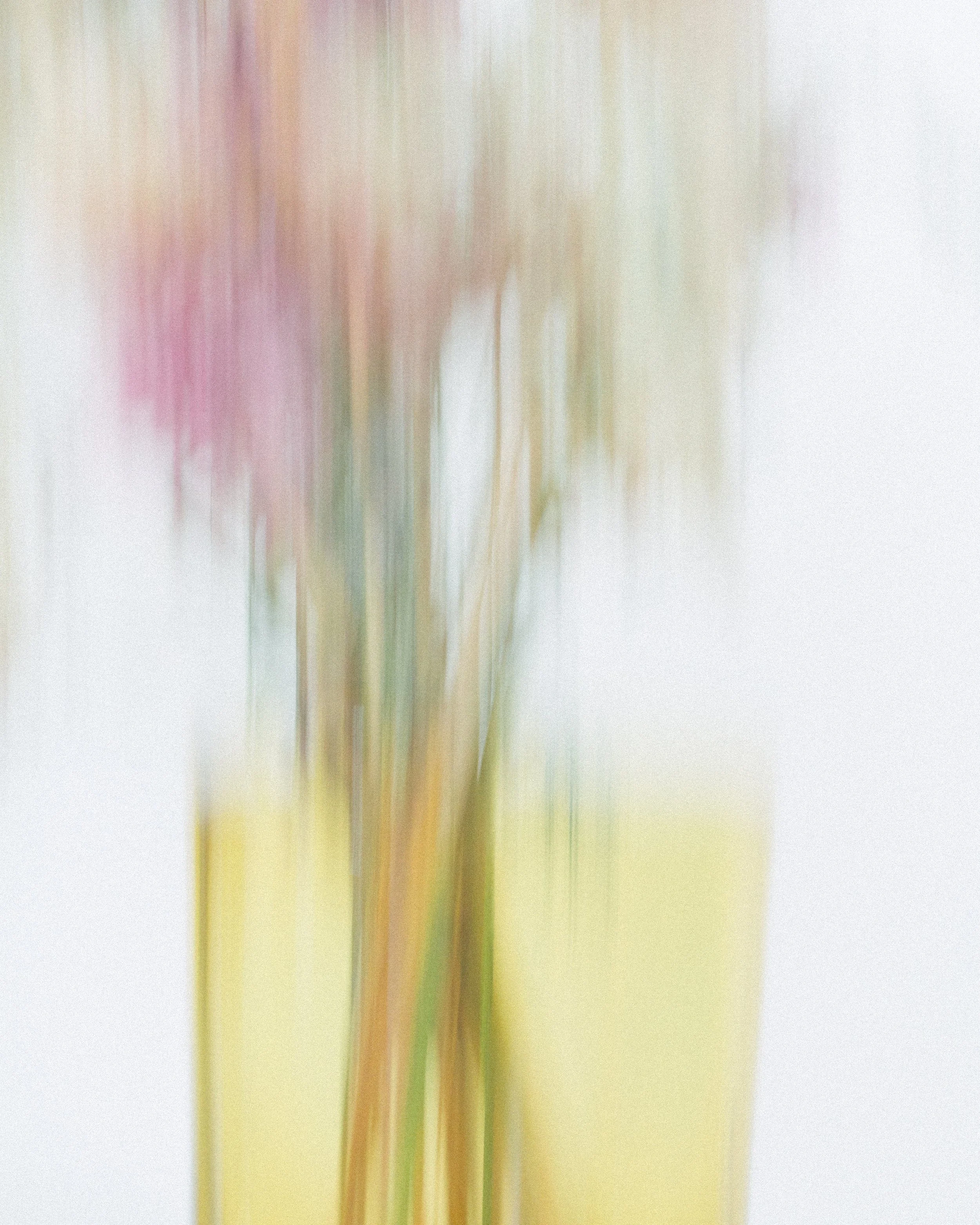 AL - WORLD RADIO 2020-110.jpg