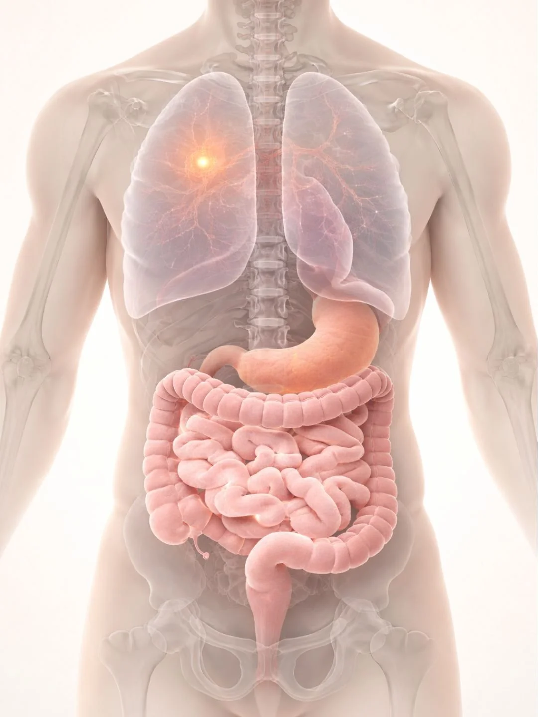 Lung cancer, immunotherapy and the gut microbiome