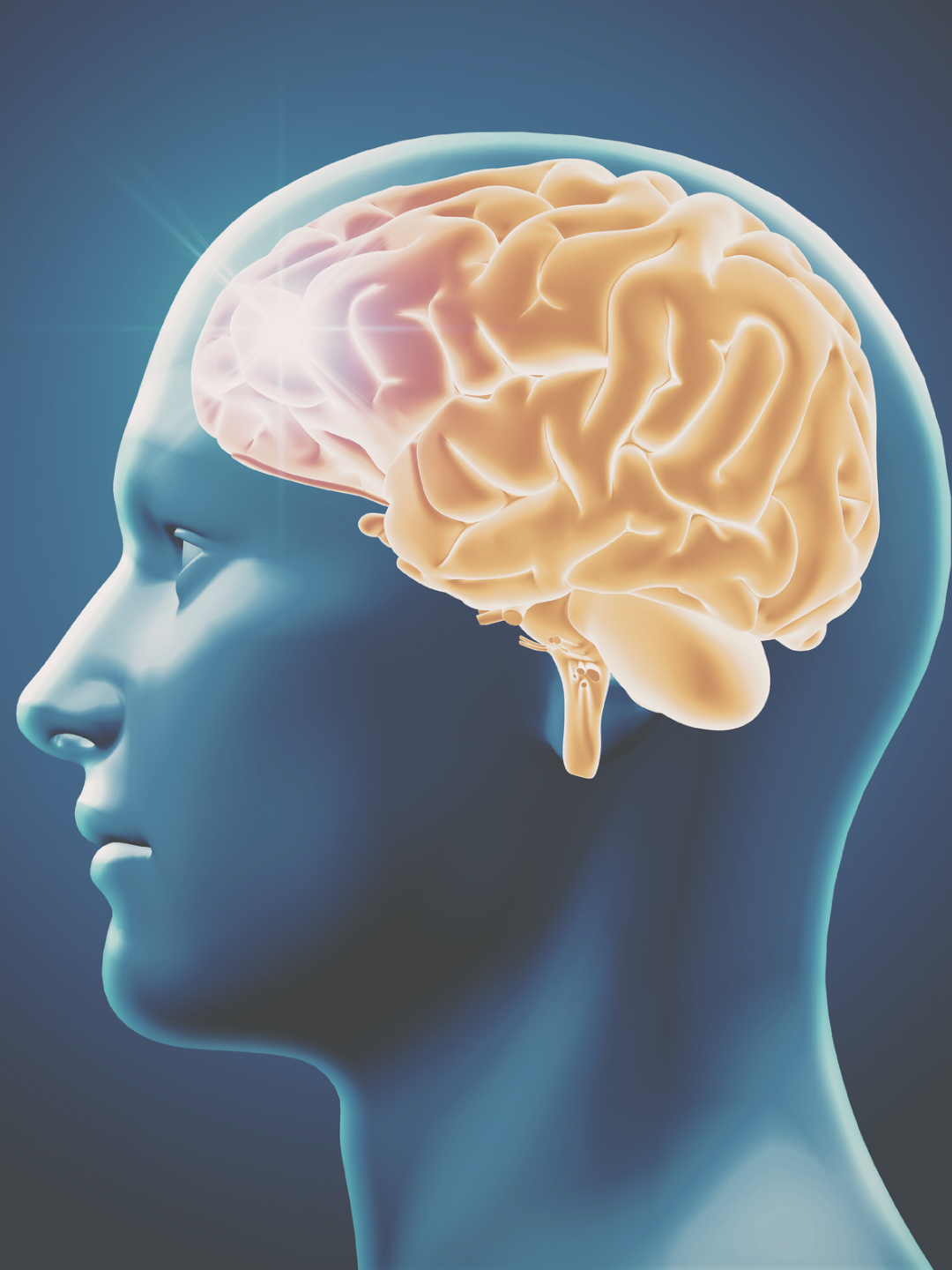 Why does lung cancer so often spread to the brain?