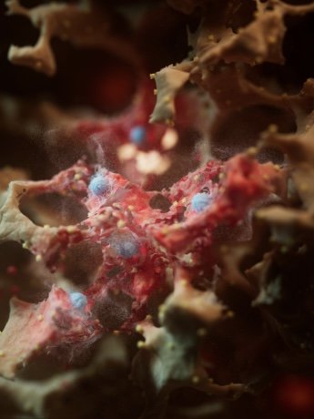 Blood test predicts lung cancer five years early: what the new Cell research means