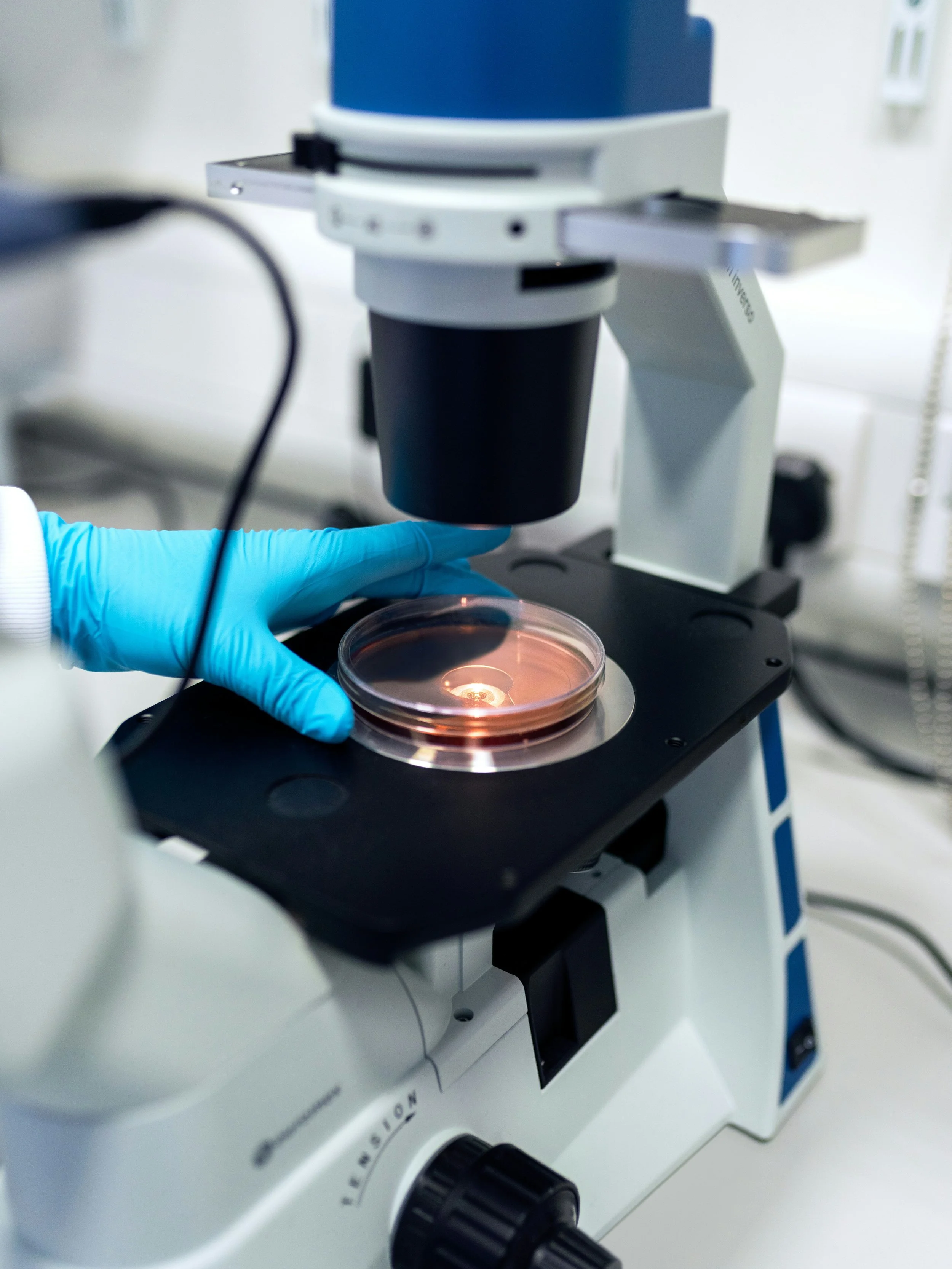 CAR T Cells and Lung Cancer: Could This Immunotherapy Become a Future Treatment?