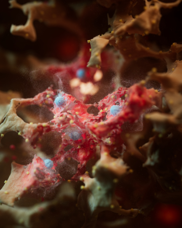Artistic representation of the internal surface of an inflamed alveolus, showing cellular damage linked to lung cancer risk. Image: © Michael Schwimmer and Jeroen Claus, Phospho Biomedical Animation, European Research Council.