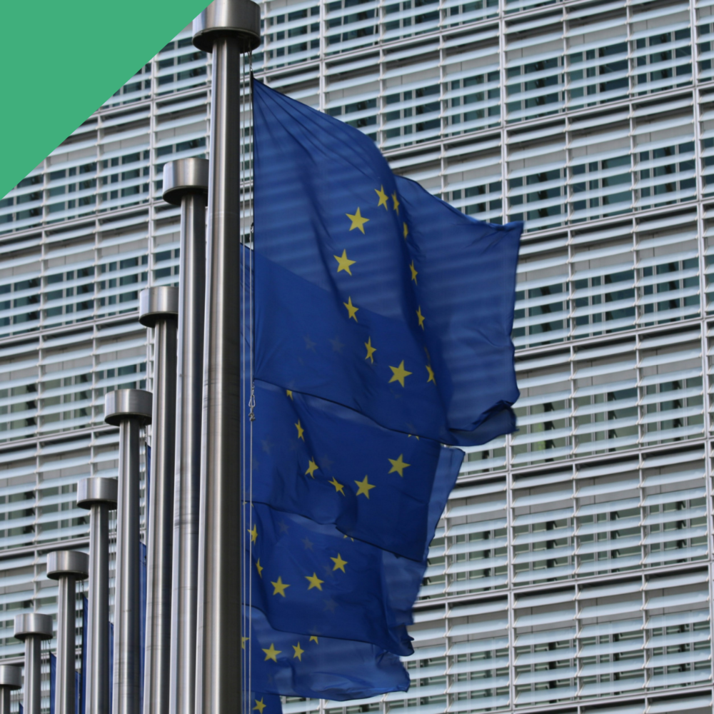 Lung Cancer Europe position on the EU Budget