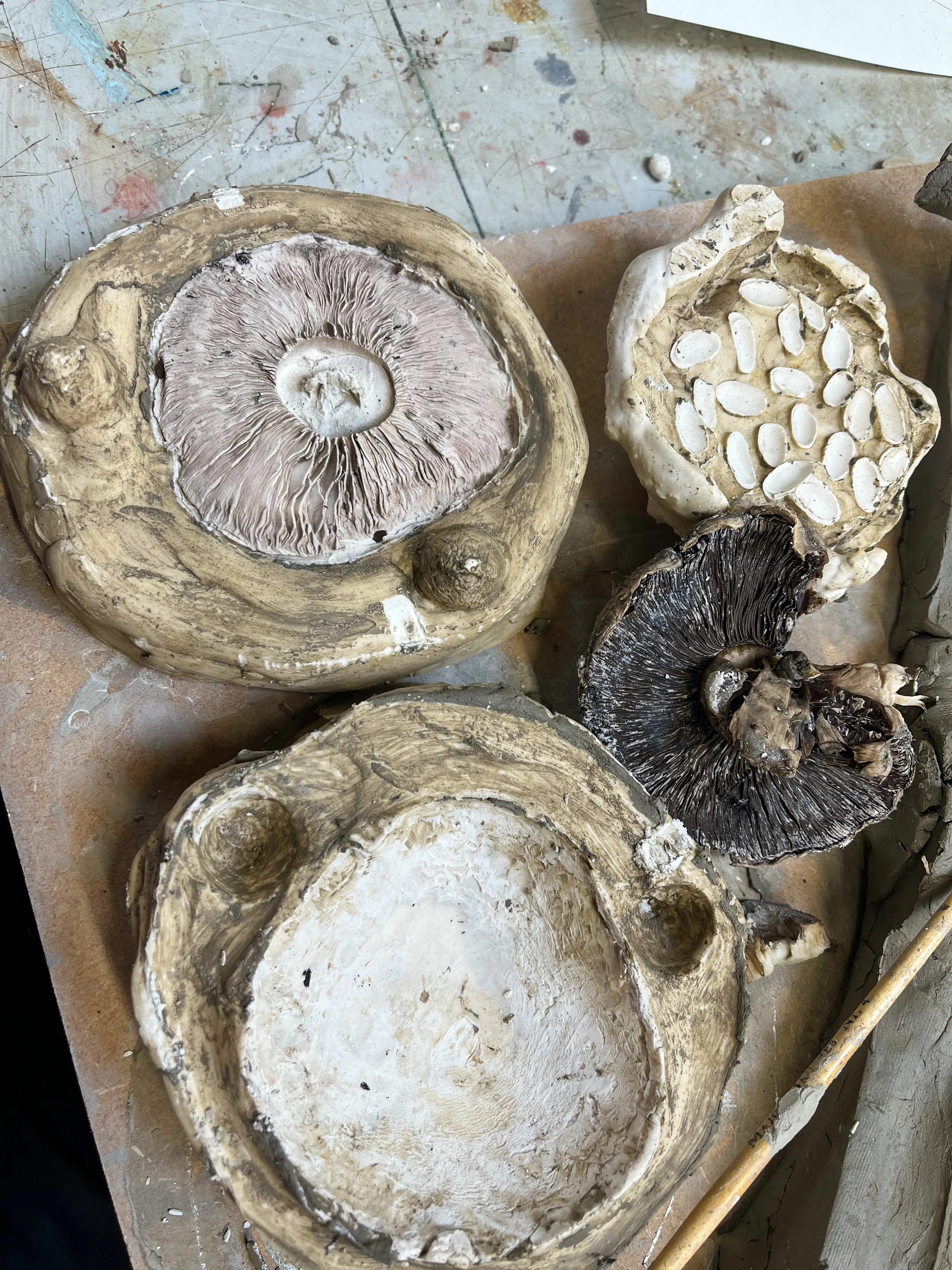 Mushroom Double Plaster Moulds for Faux Food
