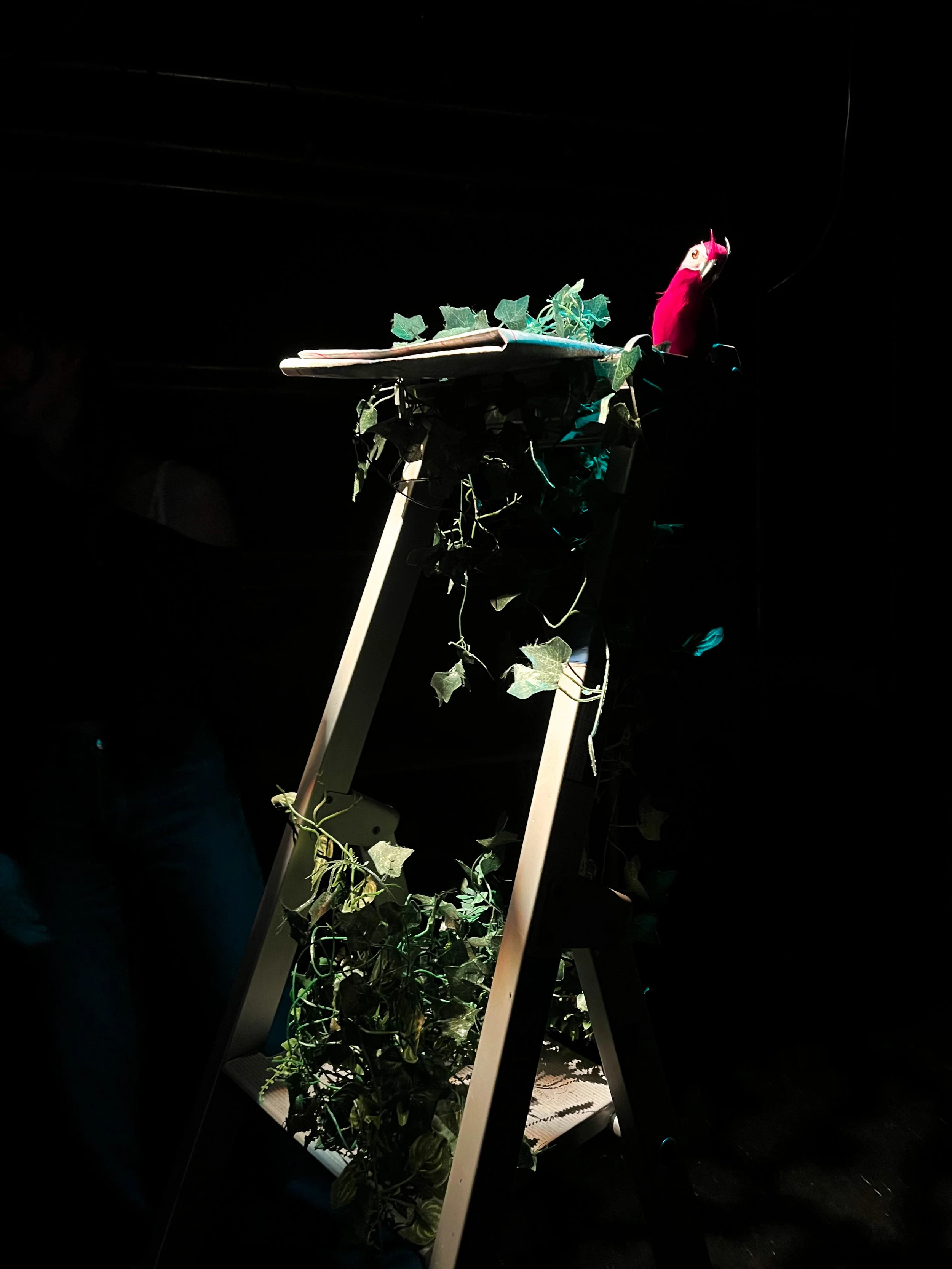 Lighting Experimentation 