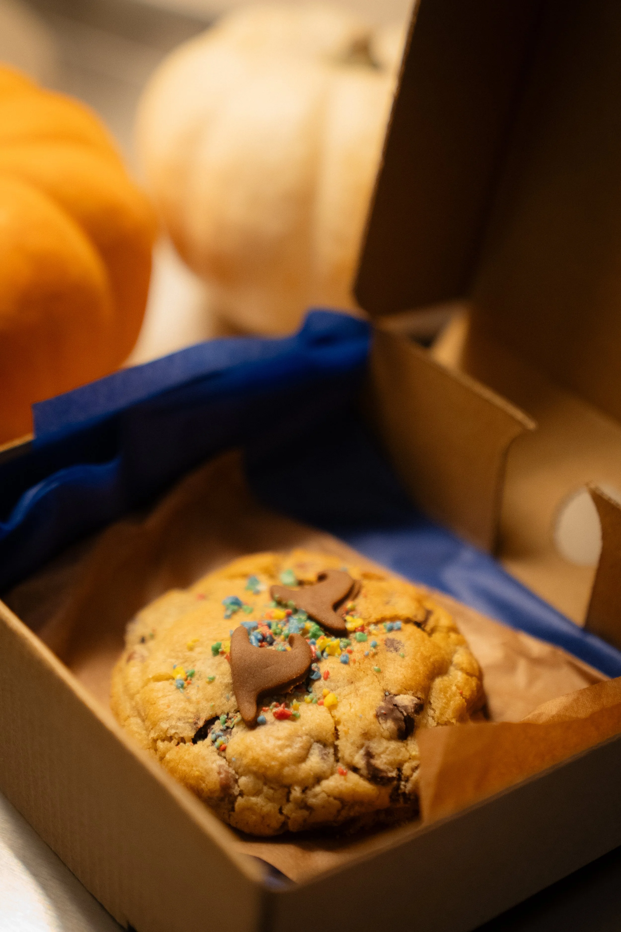 Halloween Cookie Box