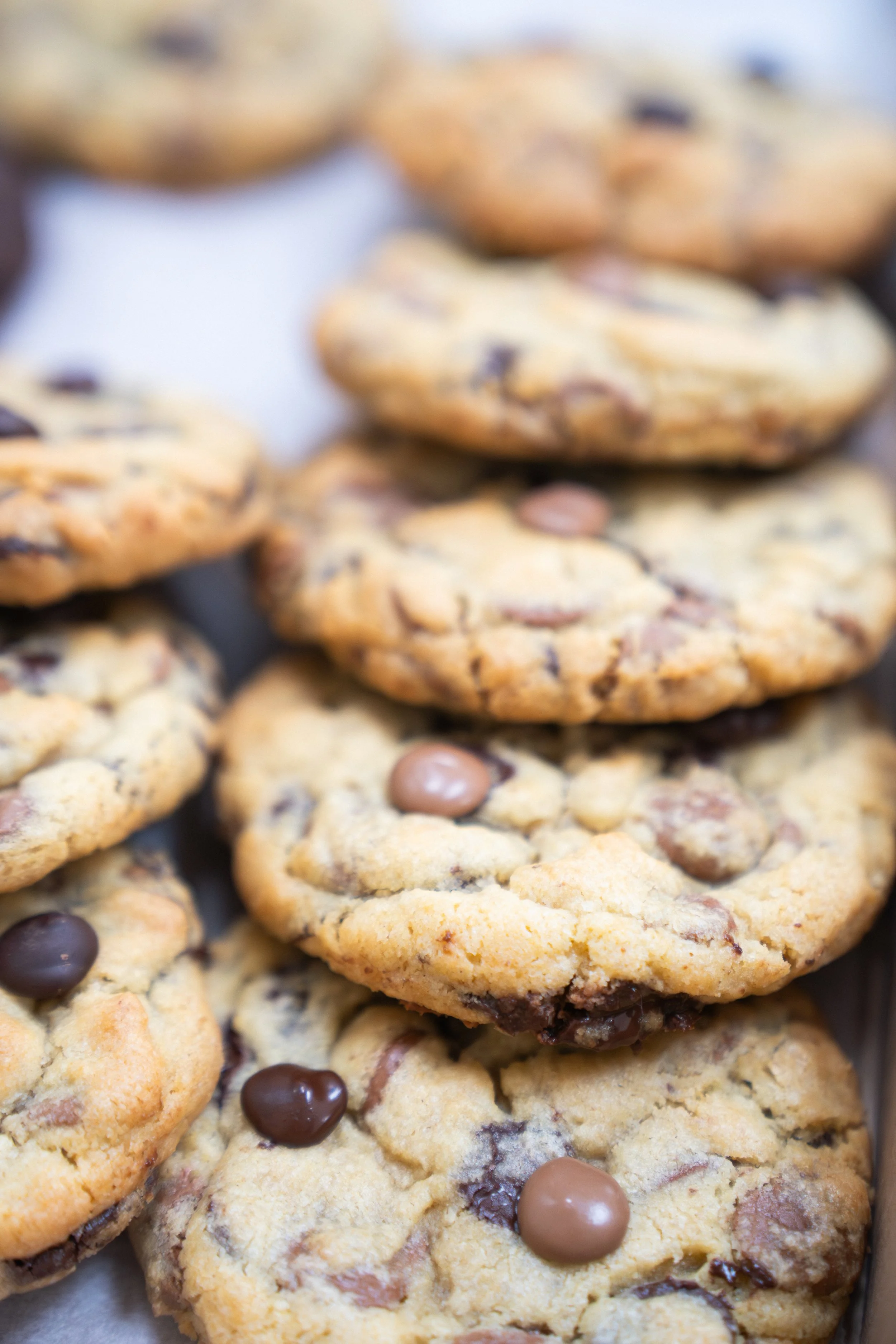 Chocolate Chip Box