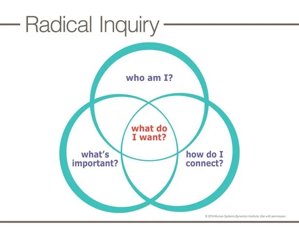 Radical Inquiry