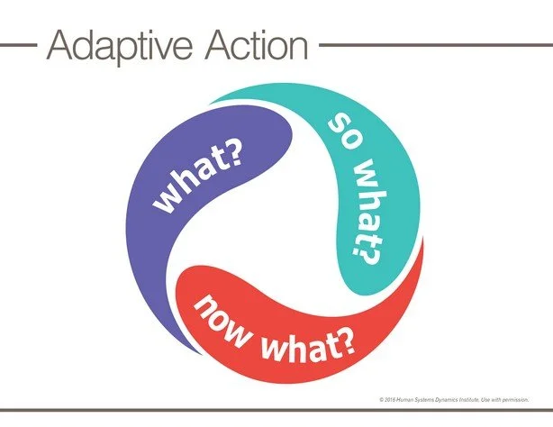 Adaptive Action