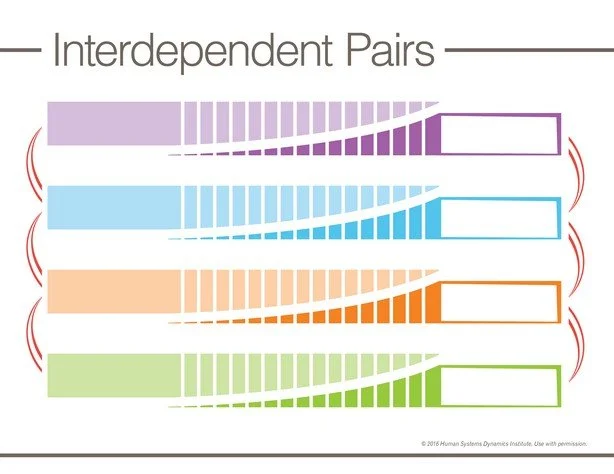 interdependent pairs.jpg