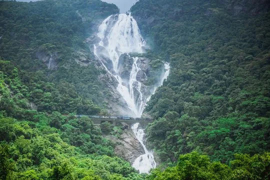06 Nights 07 Days *WITH* Dudhsagar Falls