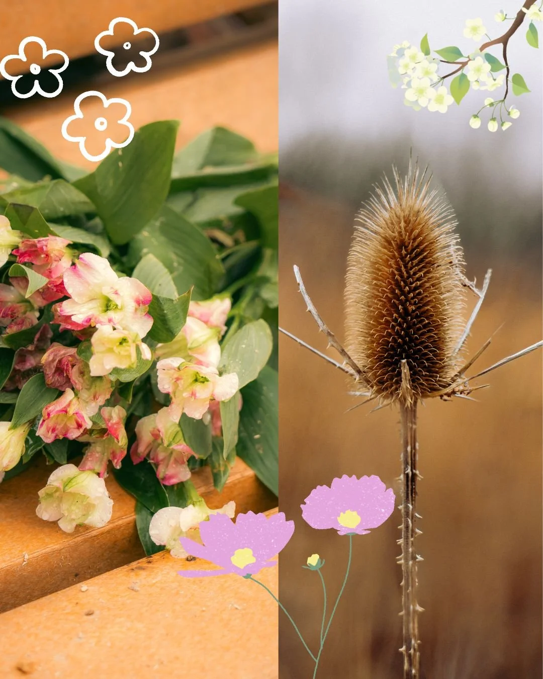 OUTDOORS - 7.JPG